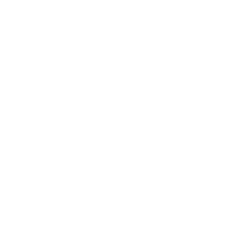 A shape of a leaf