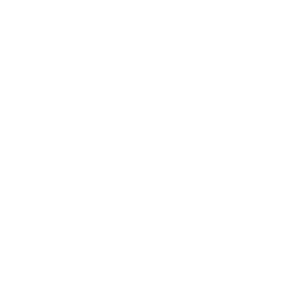 Simple white icon of the sun with rays shining