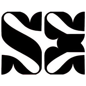 Spinal energetics logo