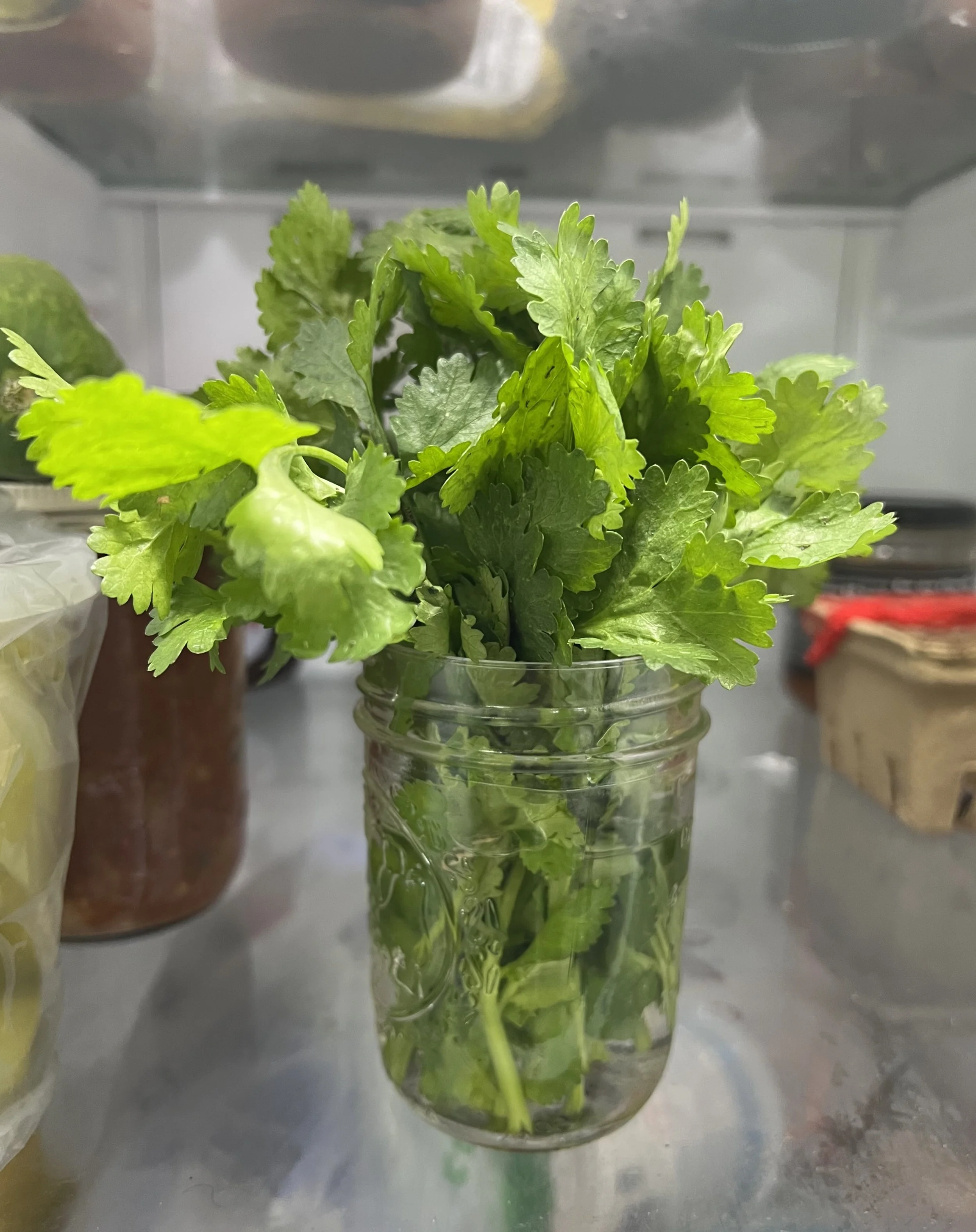How to Store Fresh Herbs
