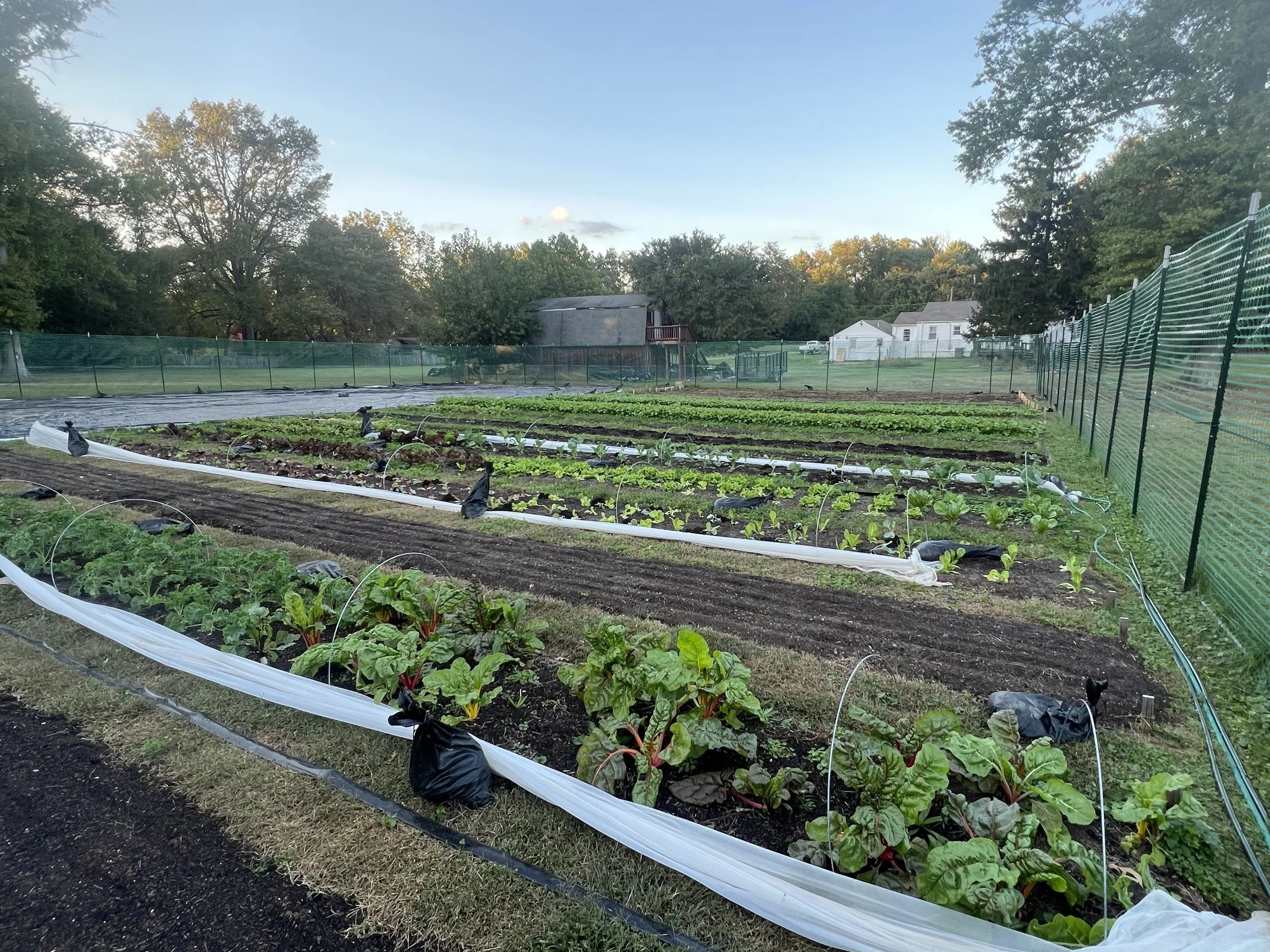 Keep Step Farm in the Spring in Rockvill, MD