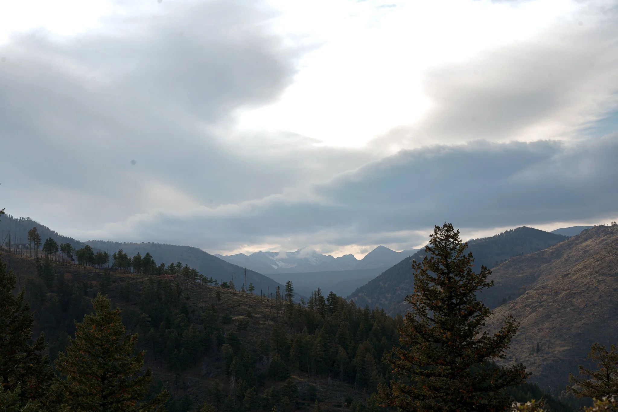 The Infrastructure of Belonging — Bioregionalism, Network Nations and The Plurality of Place (Test)