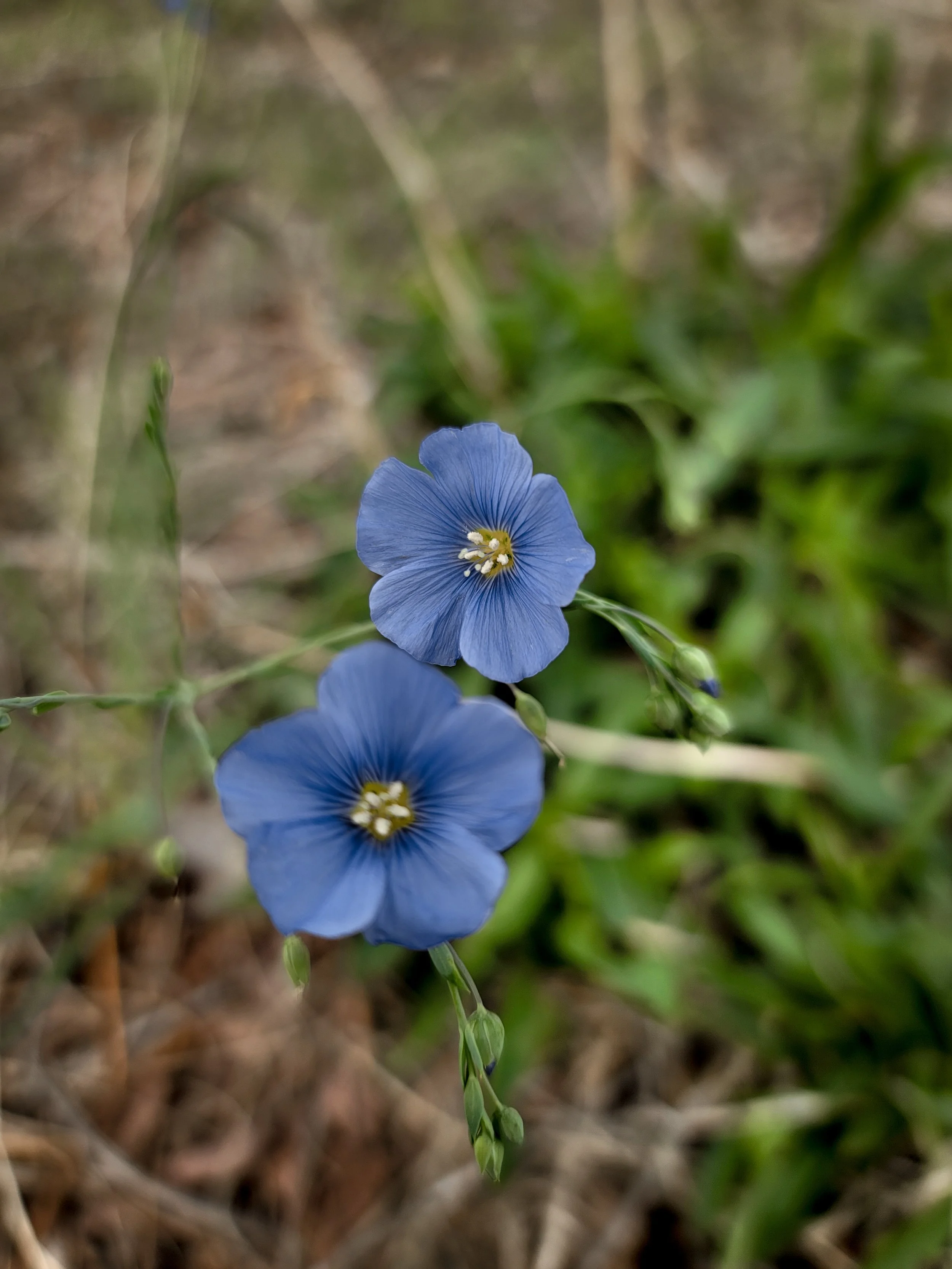 20220521_181709 (1).jpg