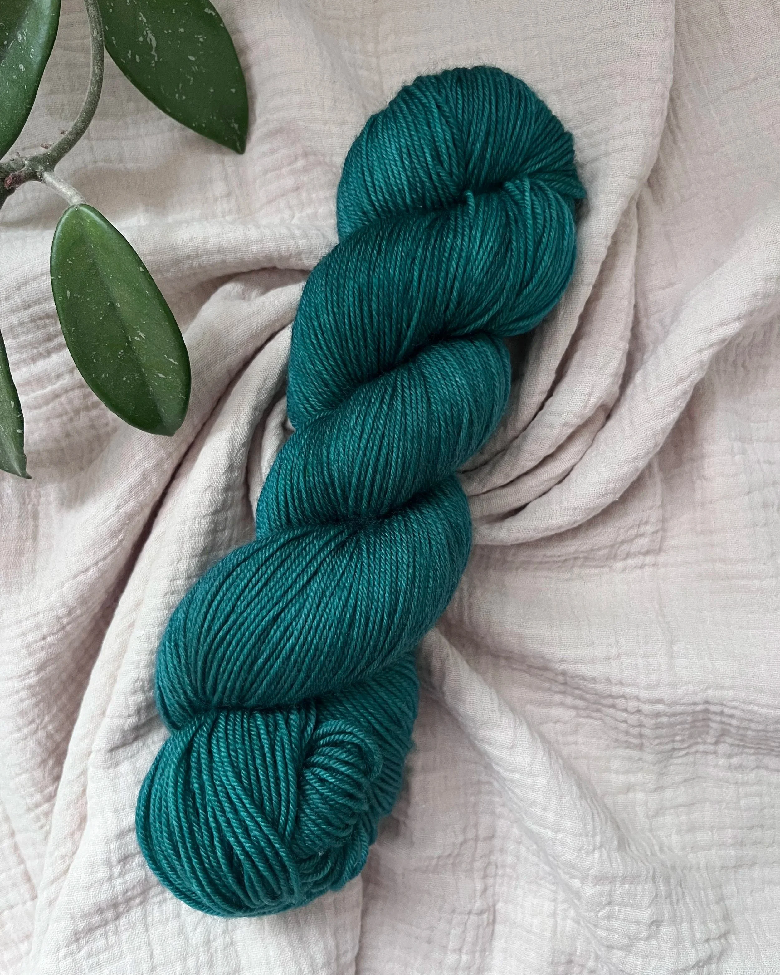 Courtesy - Core Collection Winter Edition