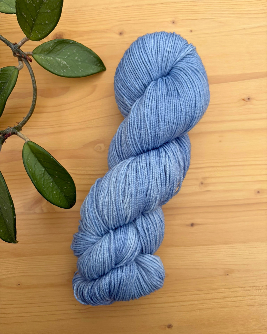 Patience - Summer Core Collection