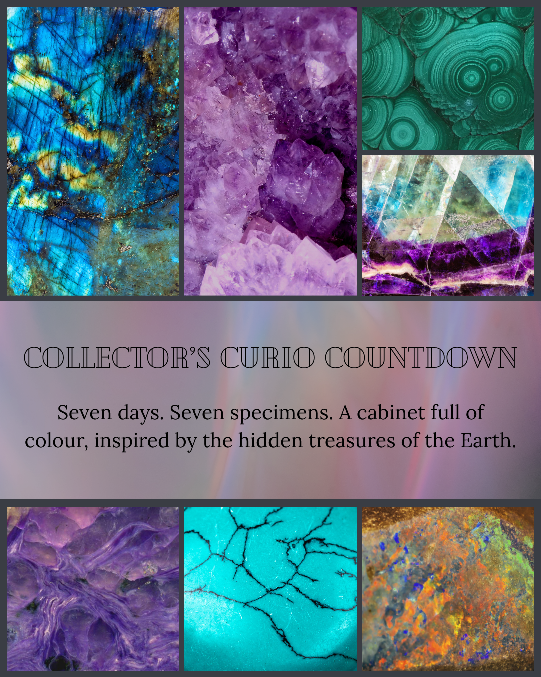 Year End Countdown Box - Curio Cabinet Curiosities