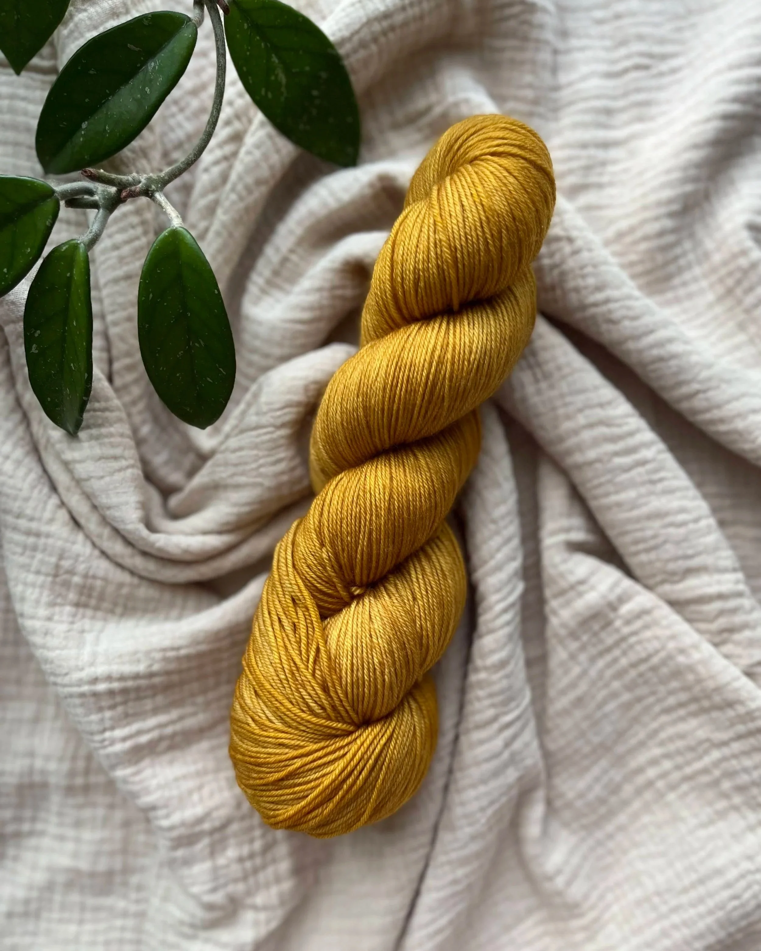 Devotion - Core Collection Winter Edition