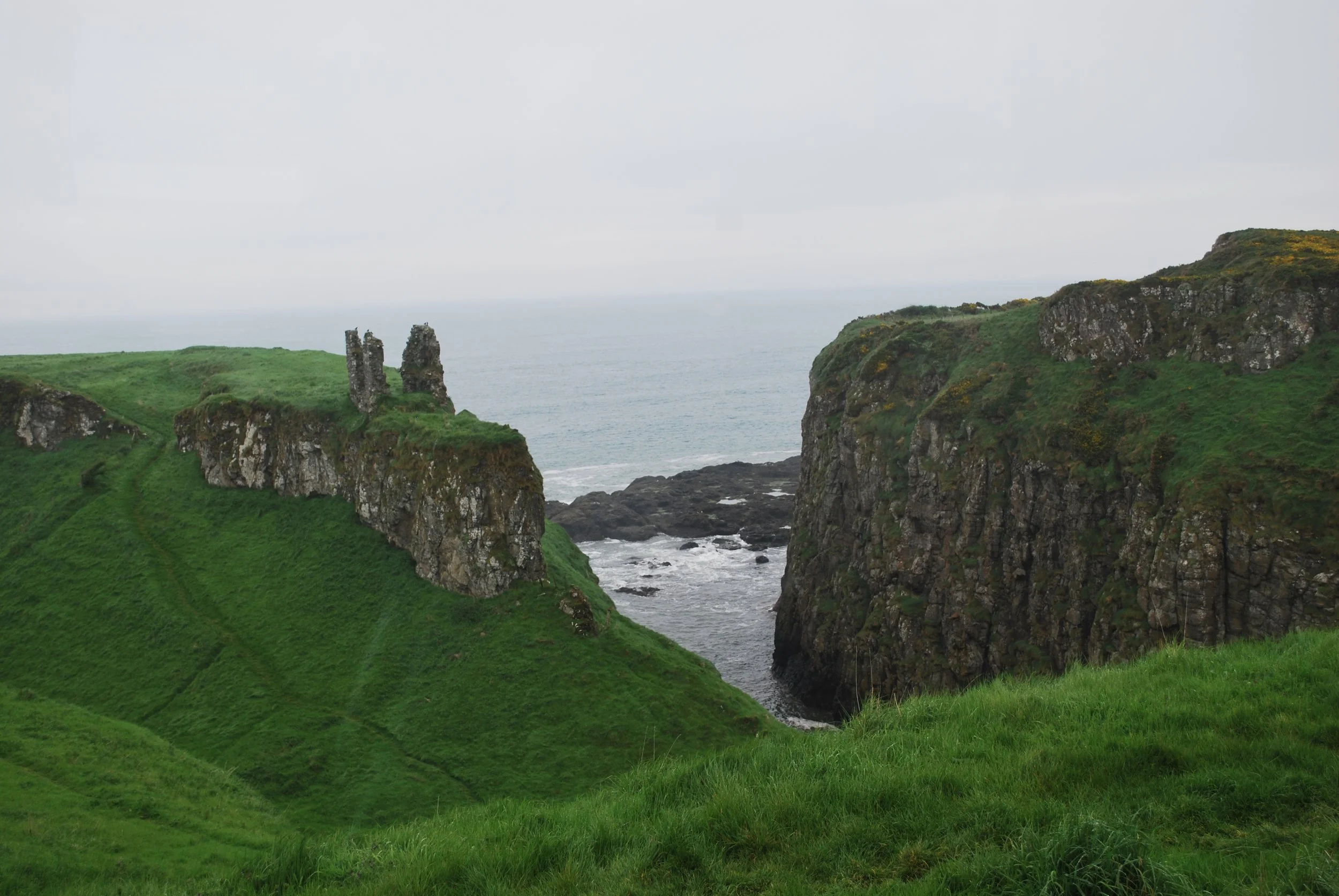 Blogs & Video Script