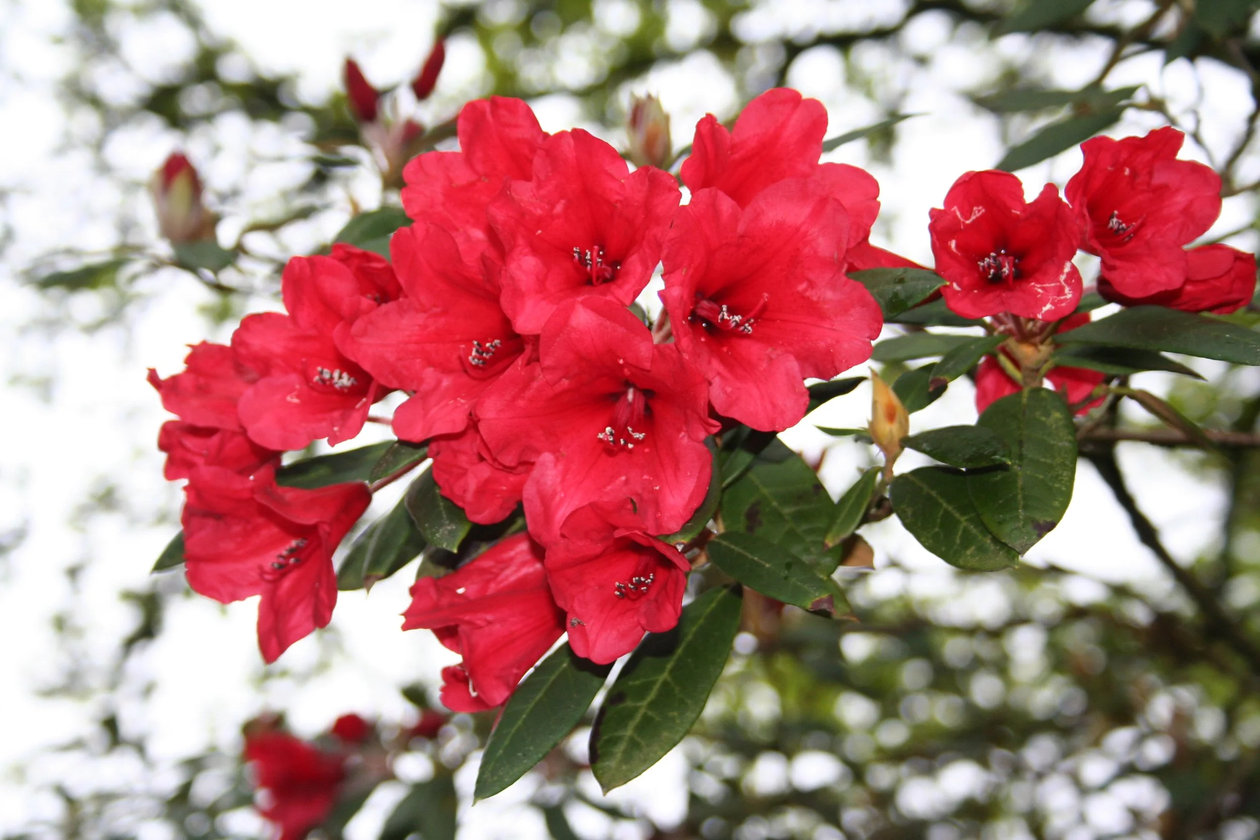 Articles & Profile Pieces