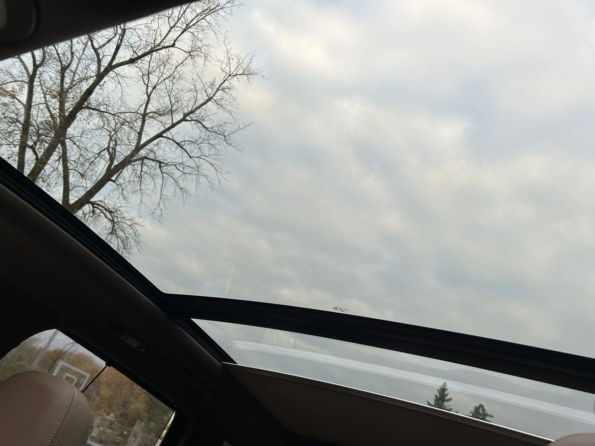 IMG_6184.jpeg