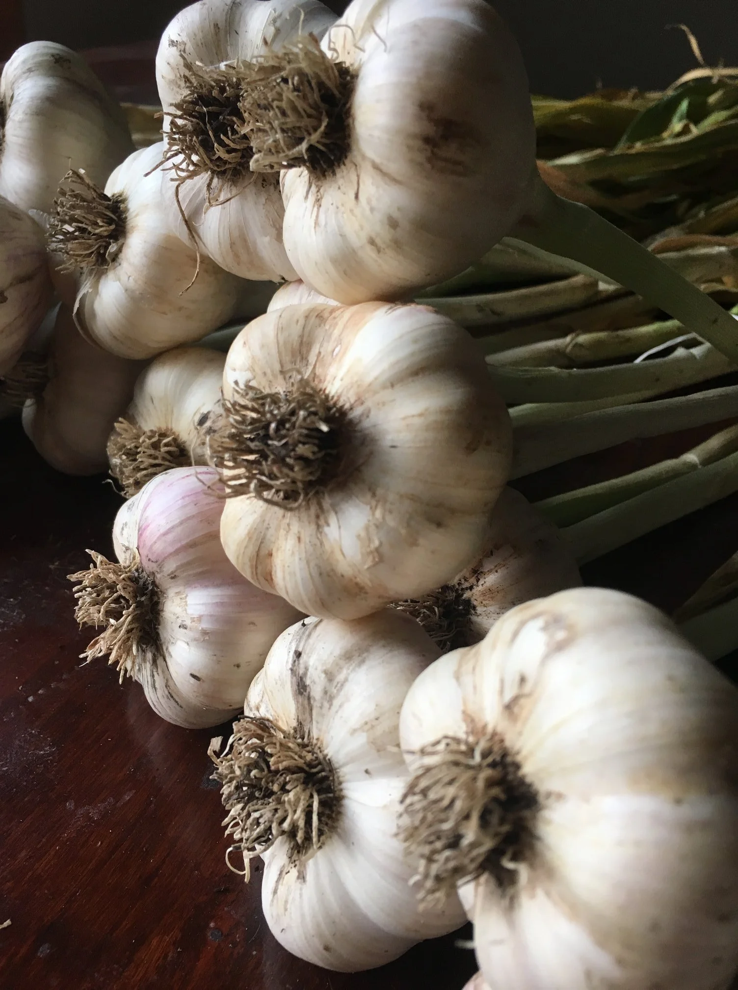 Food Intolerance Master Class: Ancestral Eating