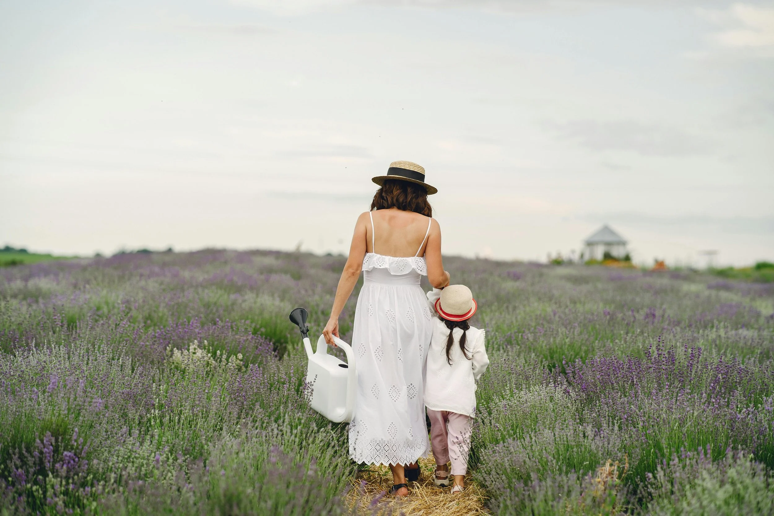 A woman and a girl walking through a lavender field, holding hands, with the woman carrying a watering can, under a cloudy sky with a gazebo in the distance.