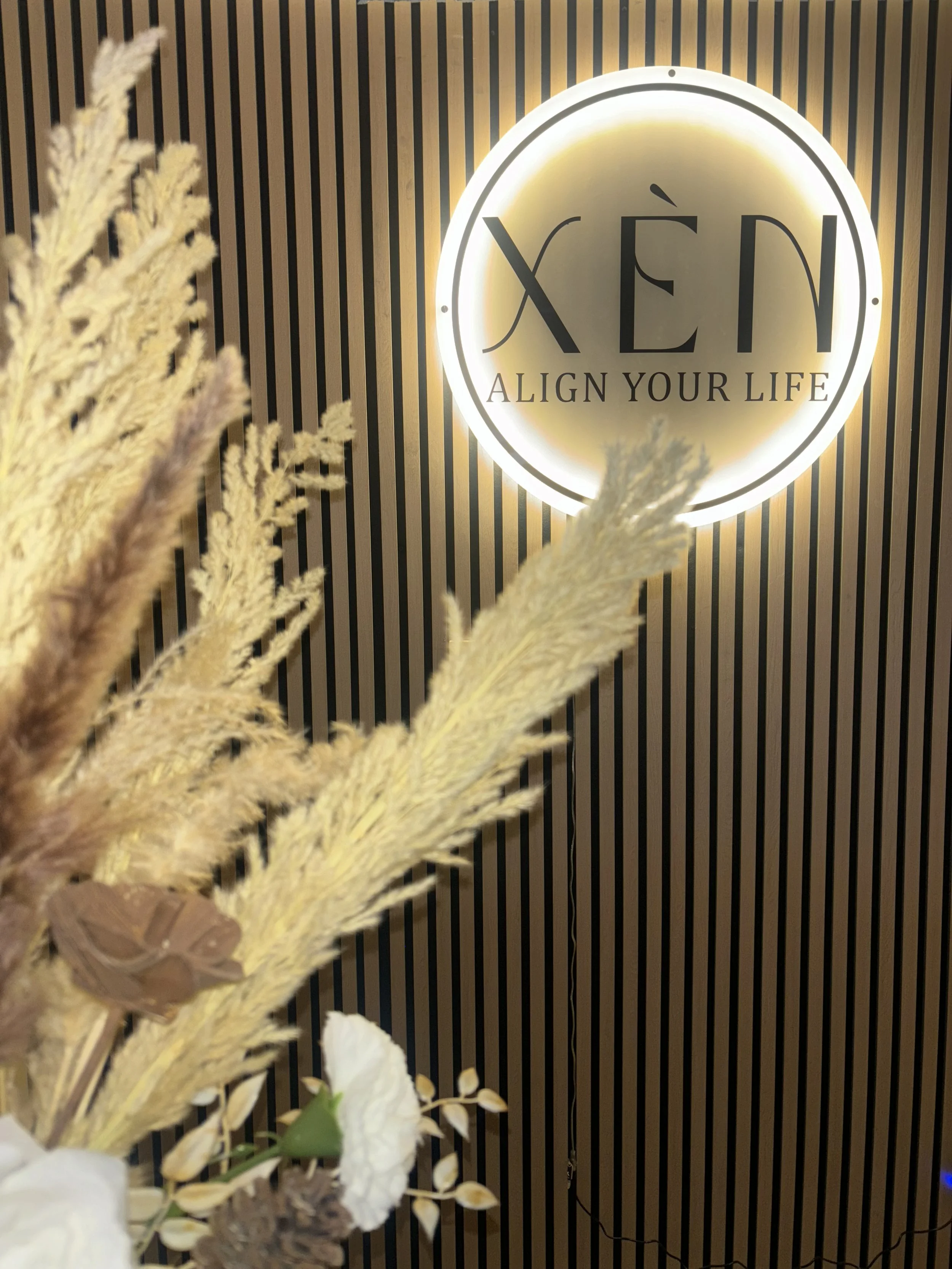 Decorative interior scene with dried flowers and a illuminated sign that reads 'XÉN' and 'ALIGN YOUR LIFE' on a vertical striped wall.