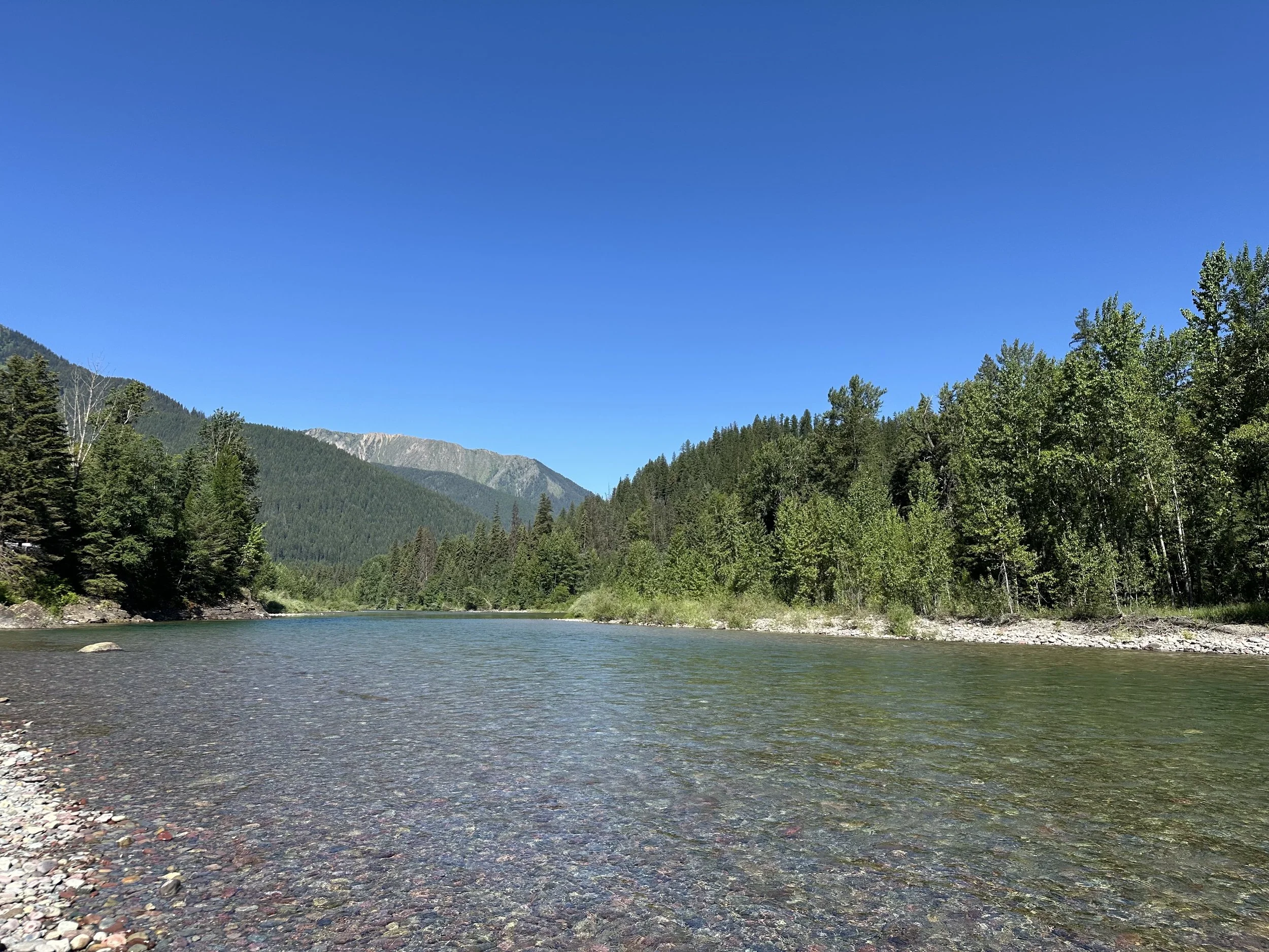 IMG_8614.jpg