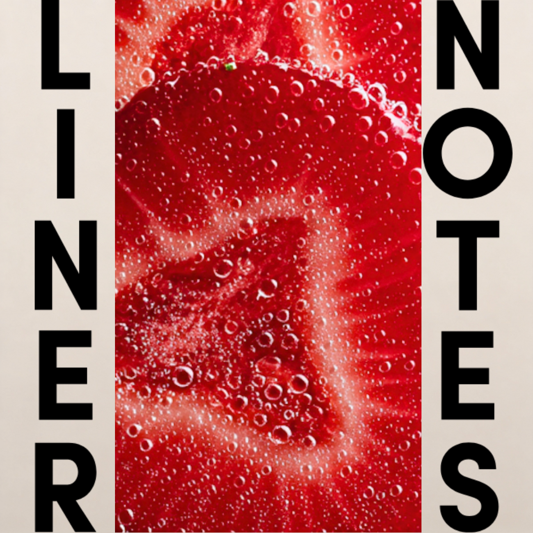 Close-up of red strawberry texture with bold LINER NOTES typography overlay, editorial visual for Strawberry Static D.S. & Durga ScentLab concept by WSSC