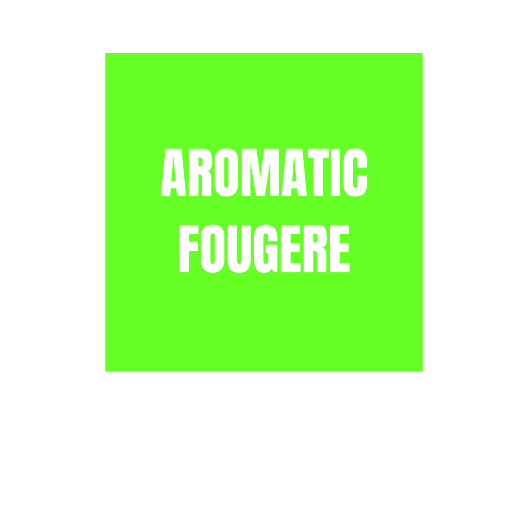 Neon green squared sticker Aromatic Fougere subfamily Gourmand Olfactory Families WSSC visual branding