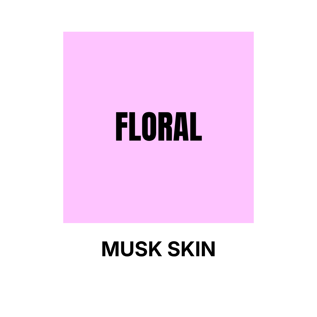 pastel pink squared sticker Floral subfamily Musk Skin Olfactory Families WSSC visual branding