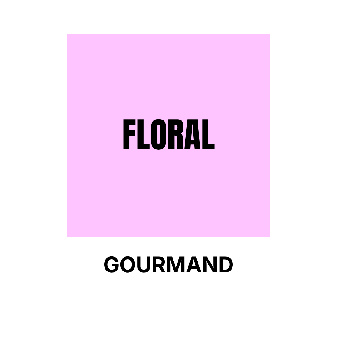 Pastel Pink squared sticker Floral subfamily Gourmand Olfactory Families WSSC visual branding