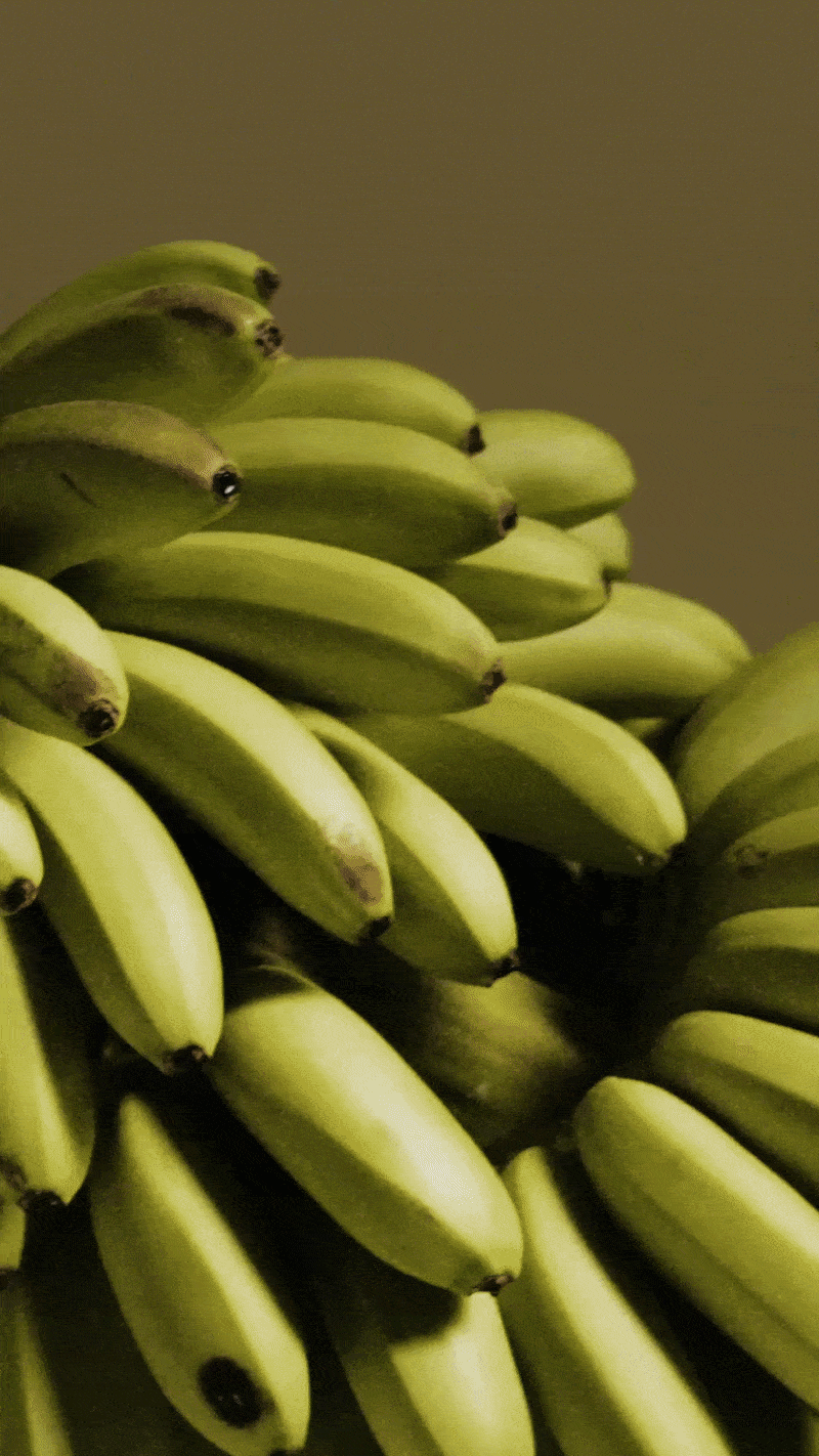 Lemur tail and bunch of green bananas Hakuna Matata 27 87 Barcelona Niche fragrance brand perfume ad with white bottle