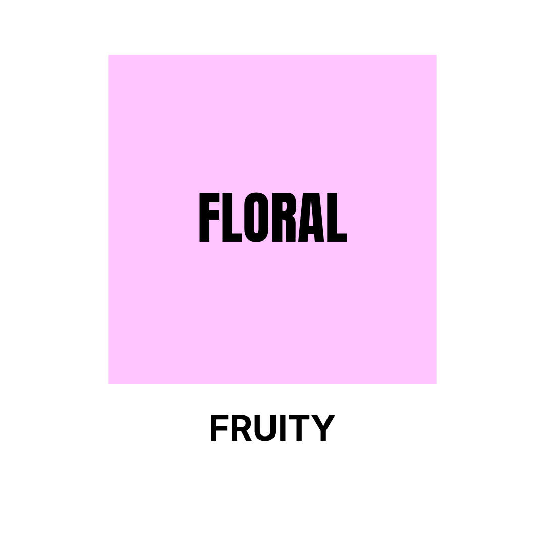 Pastel pink squared sticker Floral subfamily Fruity Olfactory Families WSSC visual branding