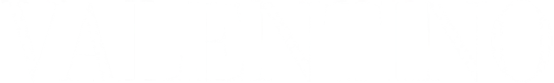 Brand Logo Valentino