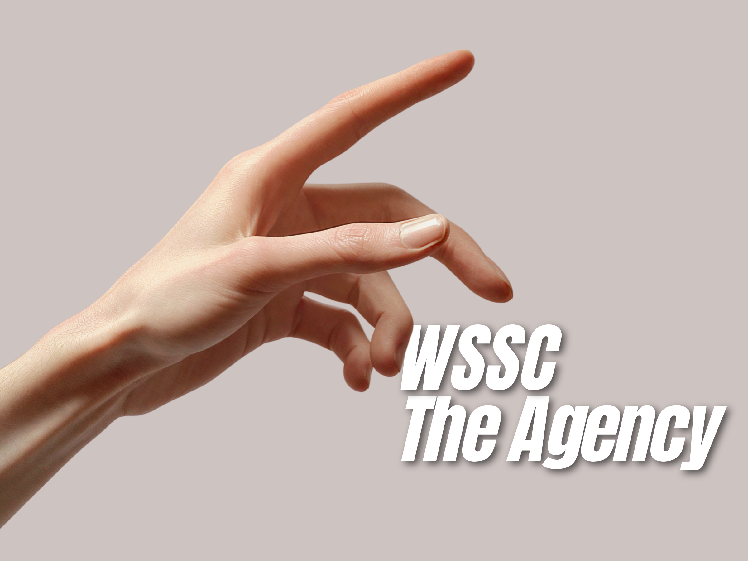 WSSC The Agency — fine fragrance brand strategy and creative consulting