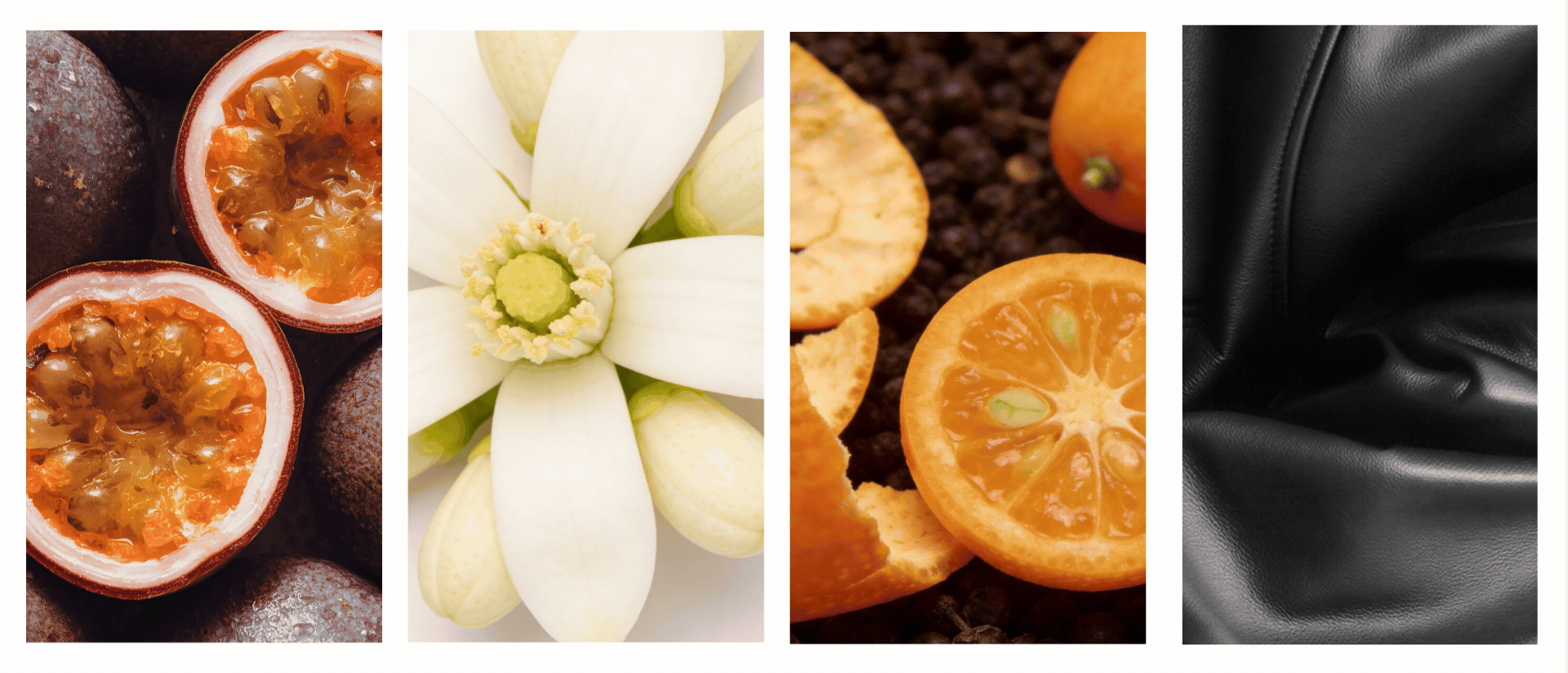 ScentLab by WSSC x Valentino – Born in Roma Idyllic Sunrise Donna moodboard. A collage of four images: passion fruit halves, white jasmine flower, kumquat and black pepper, and dark leather texture