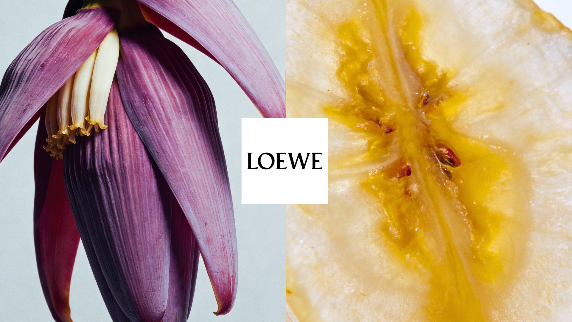 ScentLab by WSSC – Paula's Ibiza Jungle Beats by Loewe, Eau de Toilette for Women, Floral Green fragrance concept with banana flower, translucent banana and overall exotic imagery
