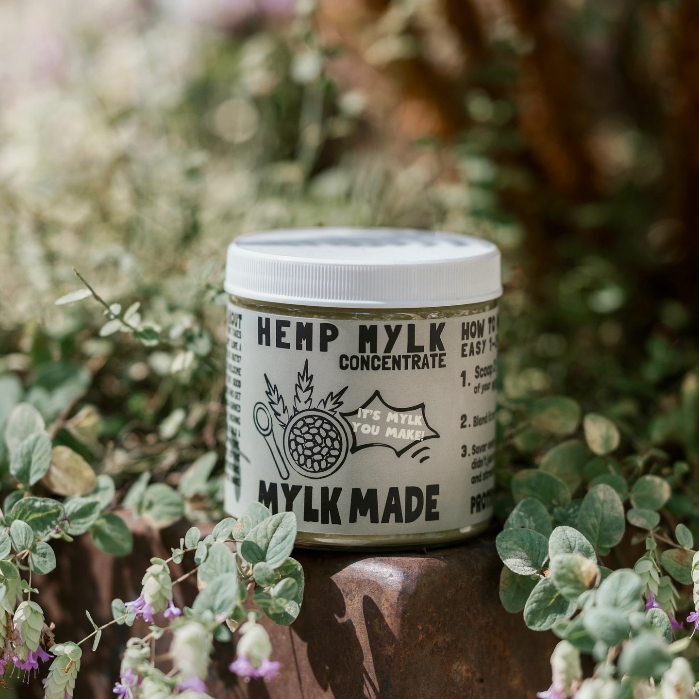 ✨ Did you know hemp mylk is one of the most nourishing plant-based mylks you can drink? ✨
Rich in omega-3 + omega-6 fatty acids, protein, and essential minerals, hemp mylk supports brain health, glowing skin, and sustained energy. 🌿💪

With MYLK MAD