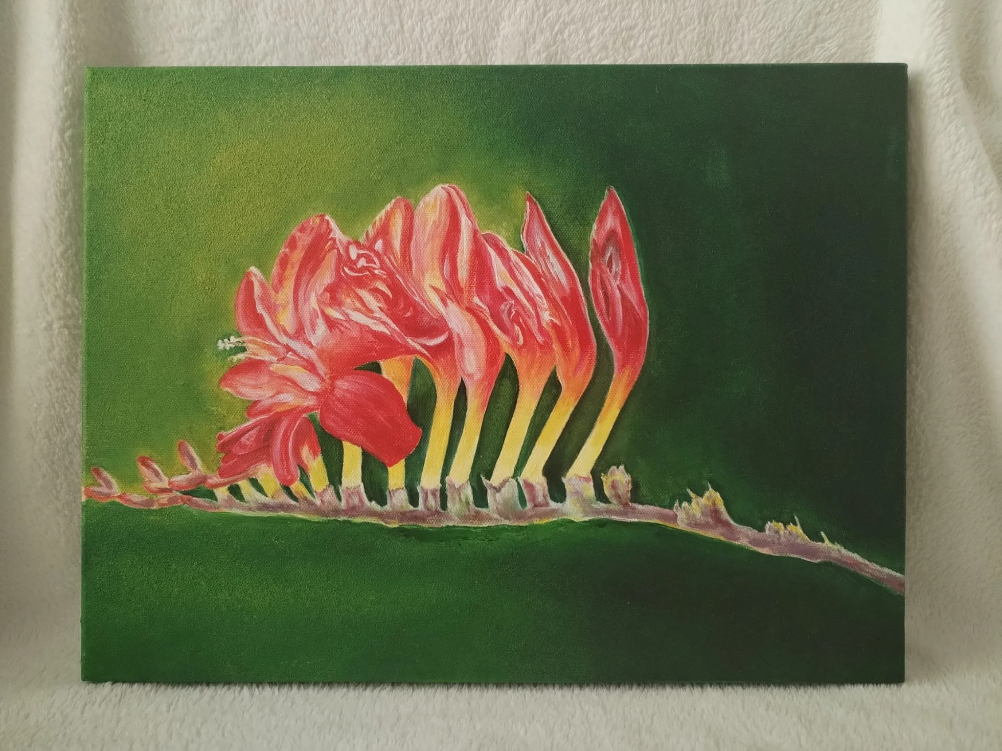 Crocosmia