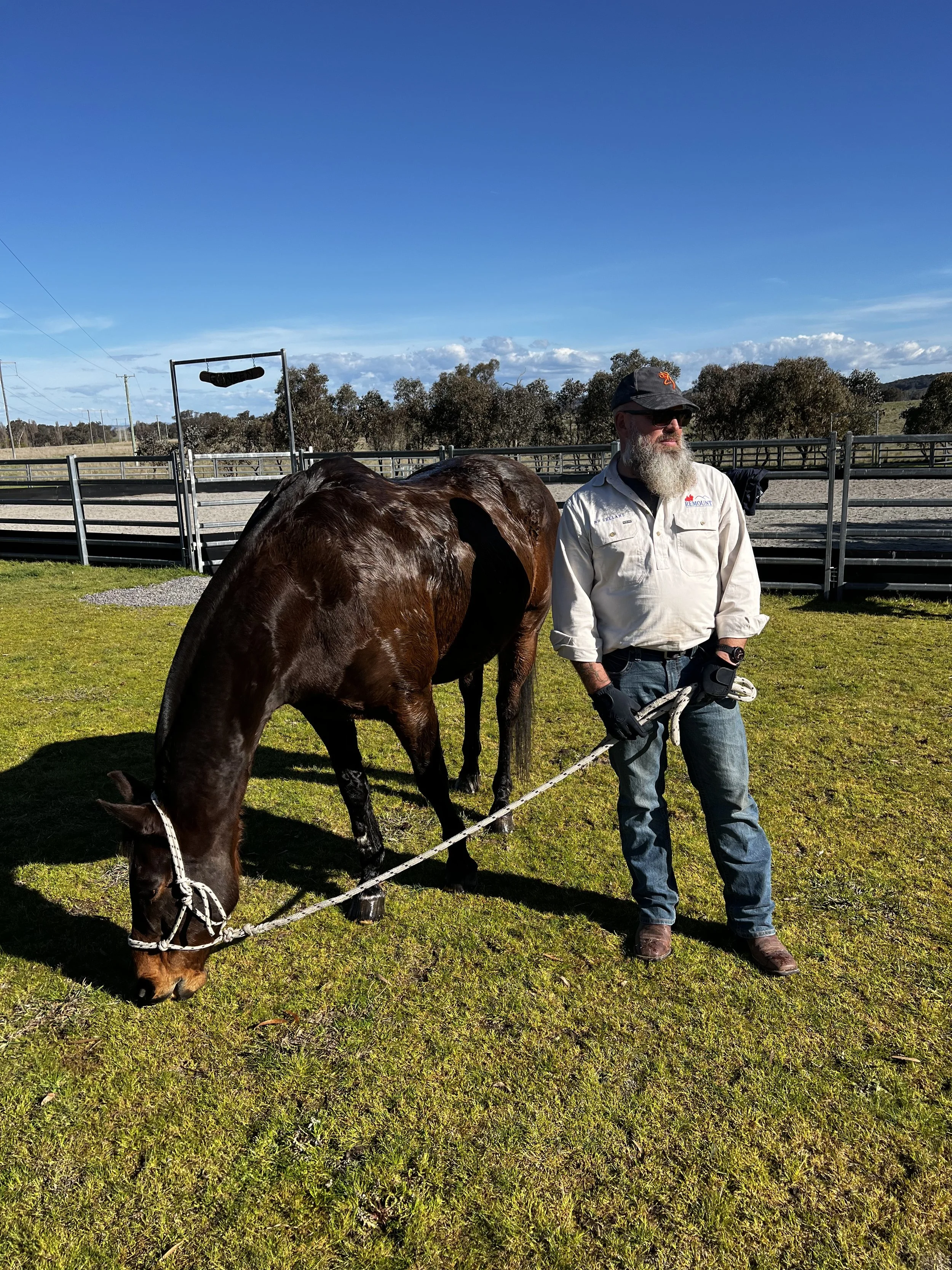 A man with a beard, wearing a white shirt, jeans, gloves, and a cap, stands on a grassy field holding a lead rope attached to a grazing brown horse.