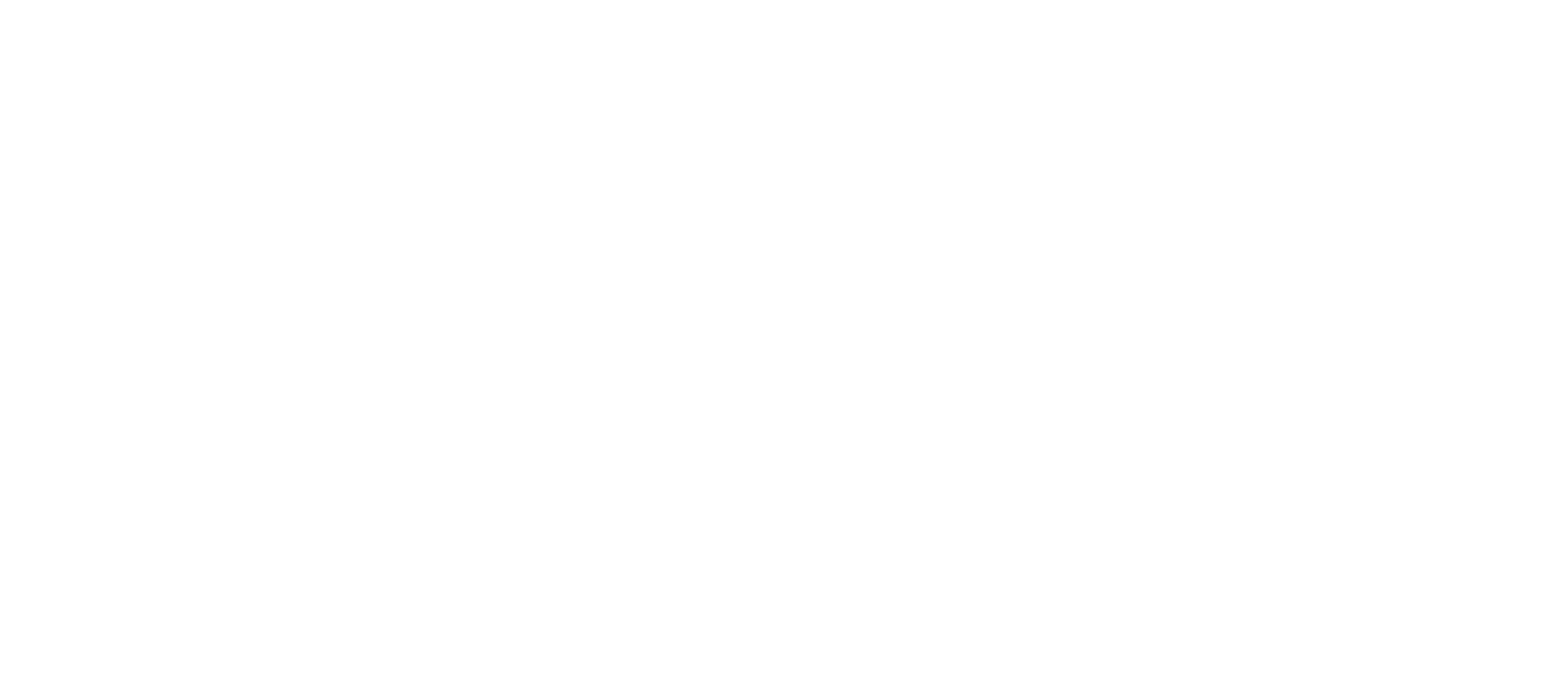 iveco.png
