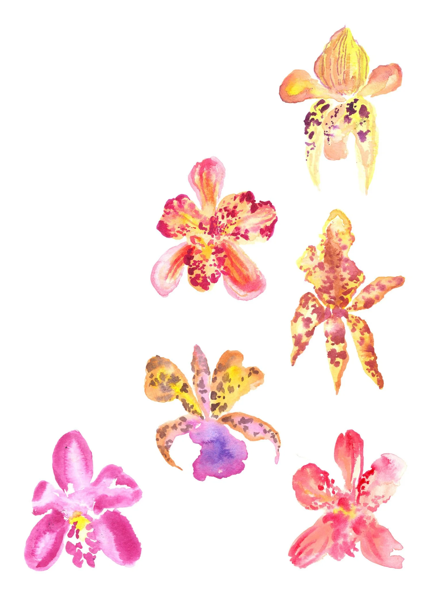 Watercolor Orchids