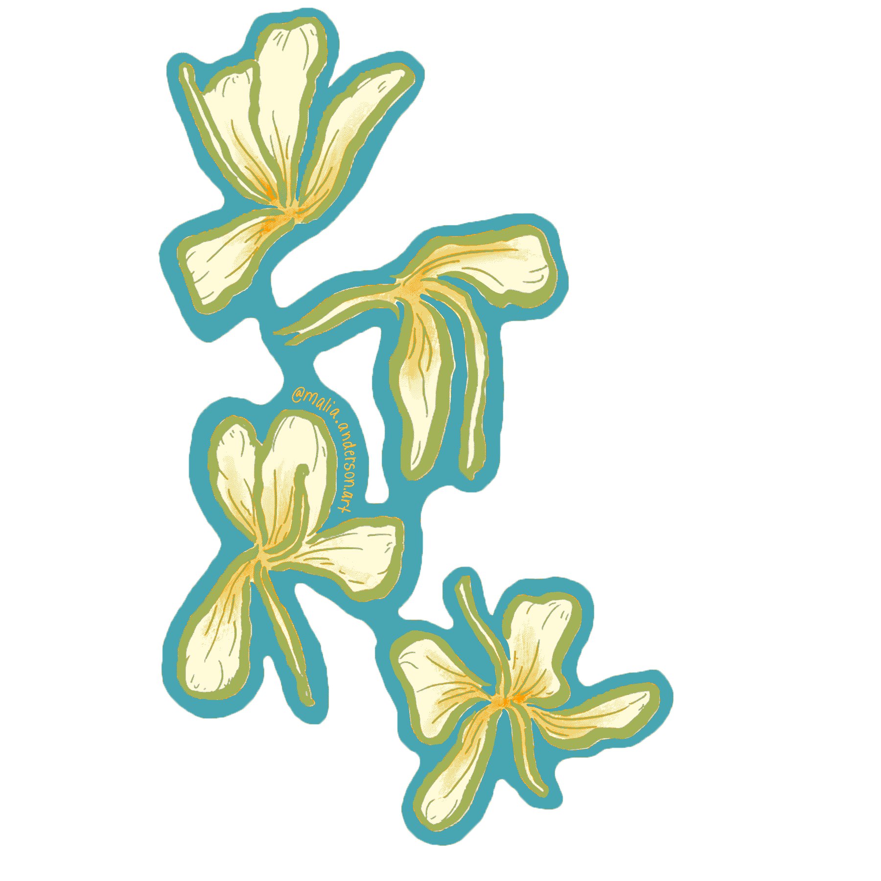 white_ginger_sticker_final-teal-green.png