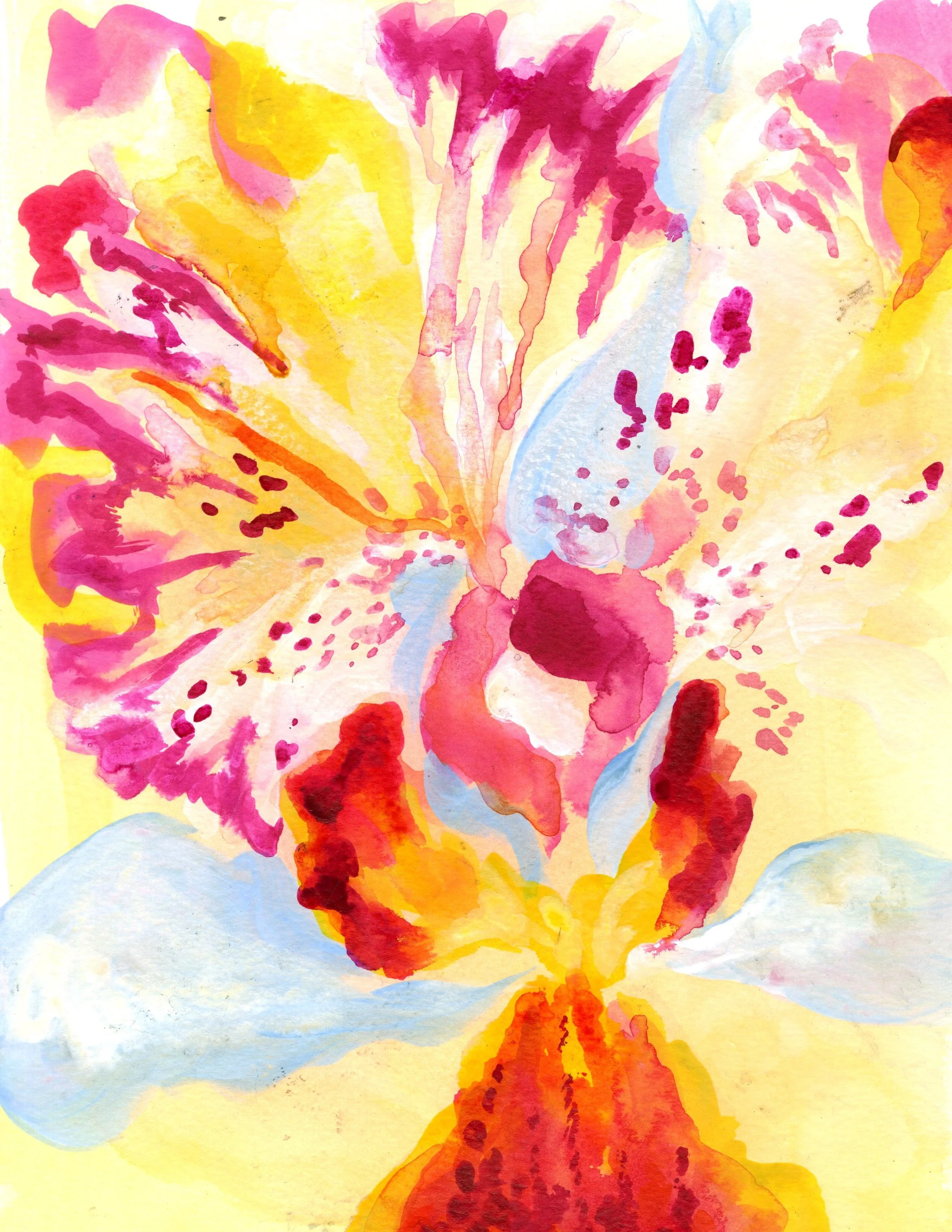 yellow and blue orchid after copy.jpg