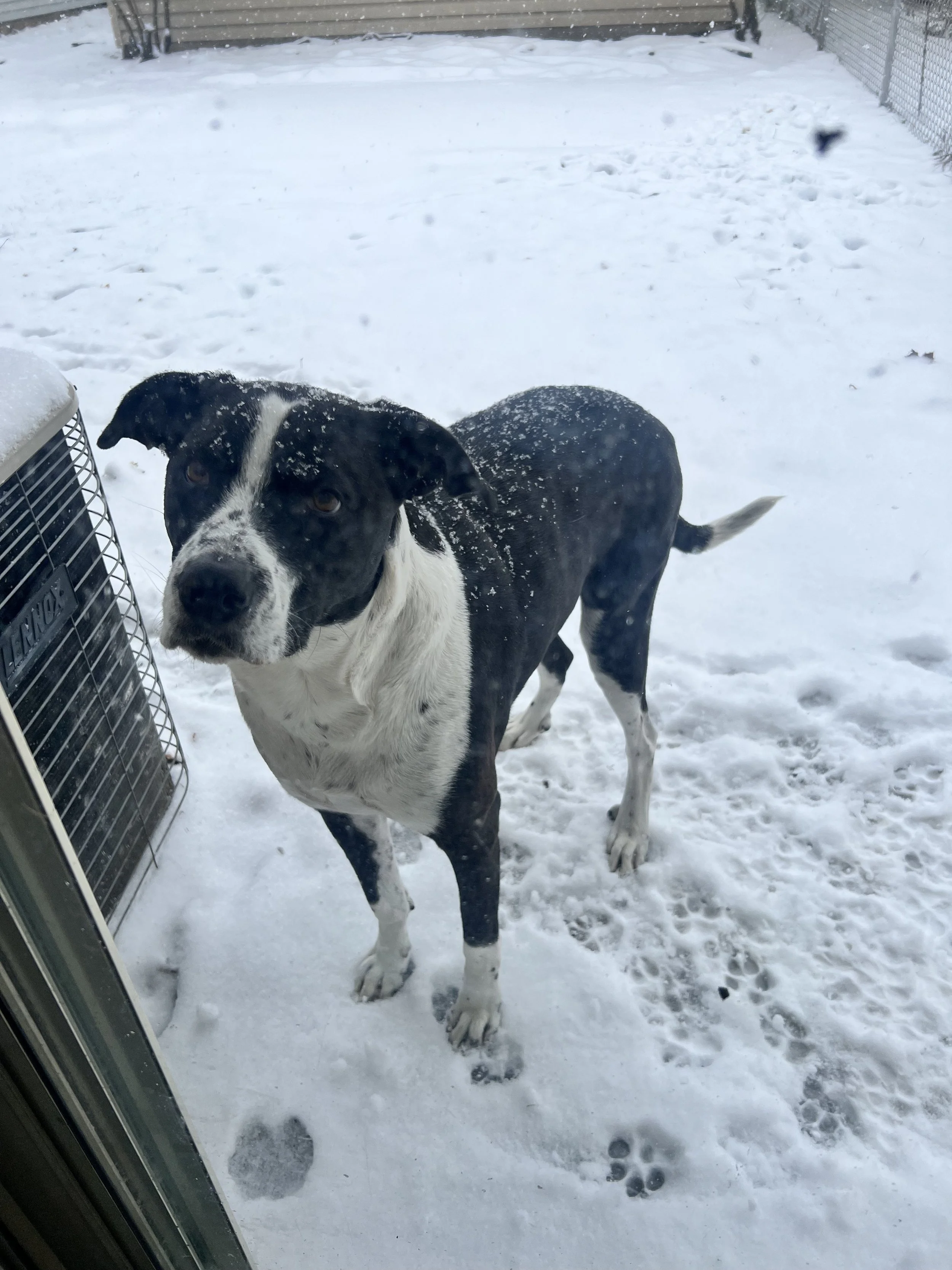 Thanks, Winter and What’s to Come