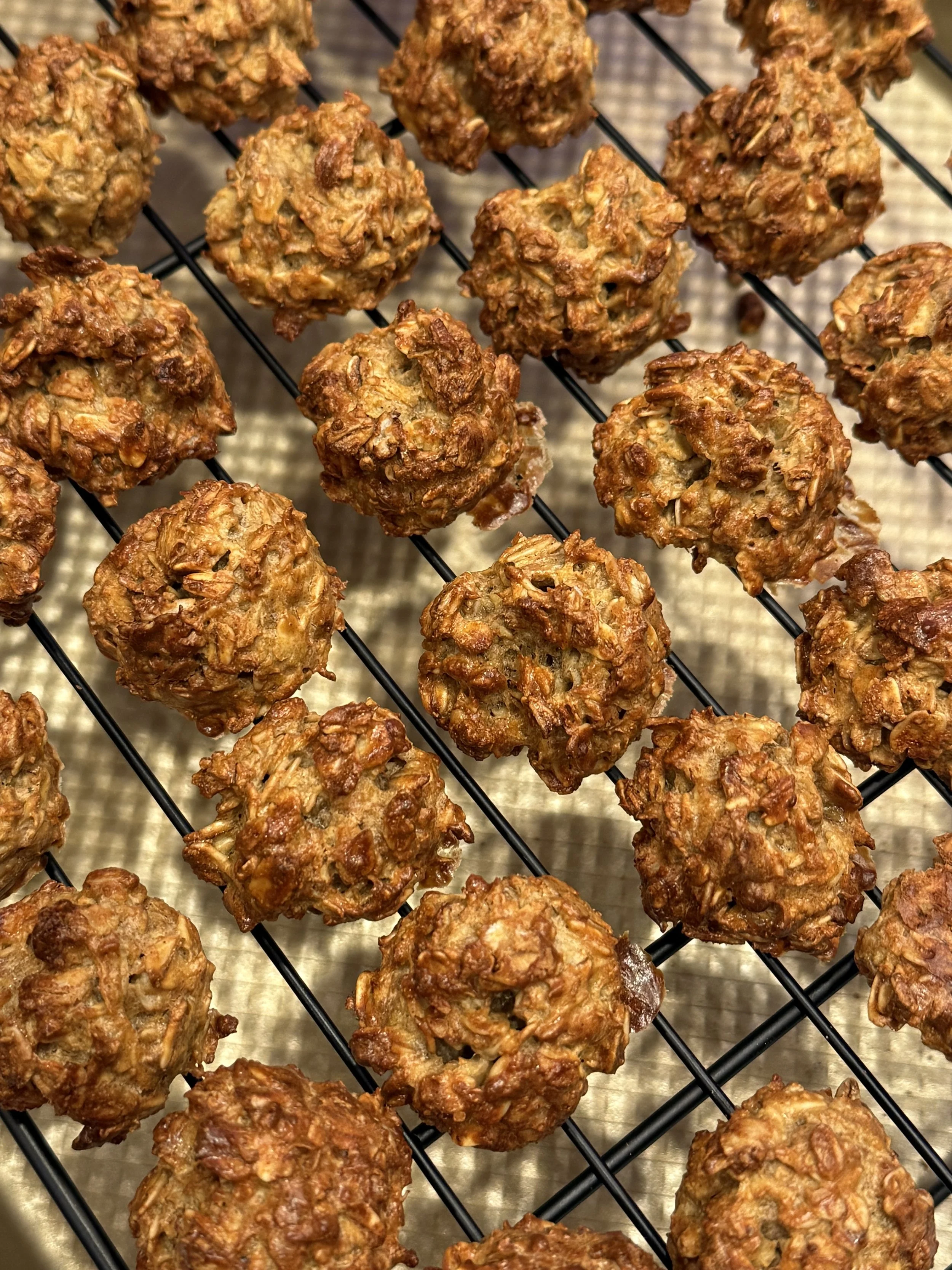 Peanut Butter Oatmeal Dog Treats
