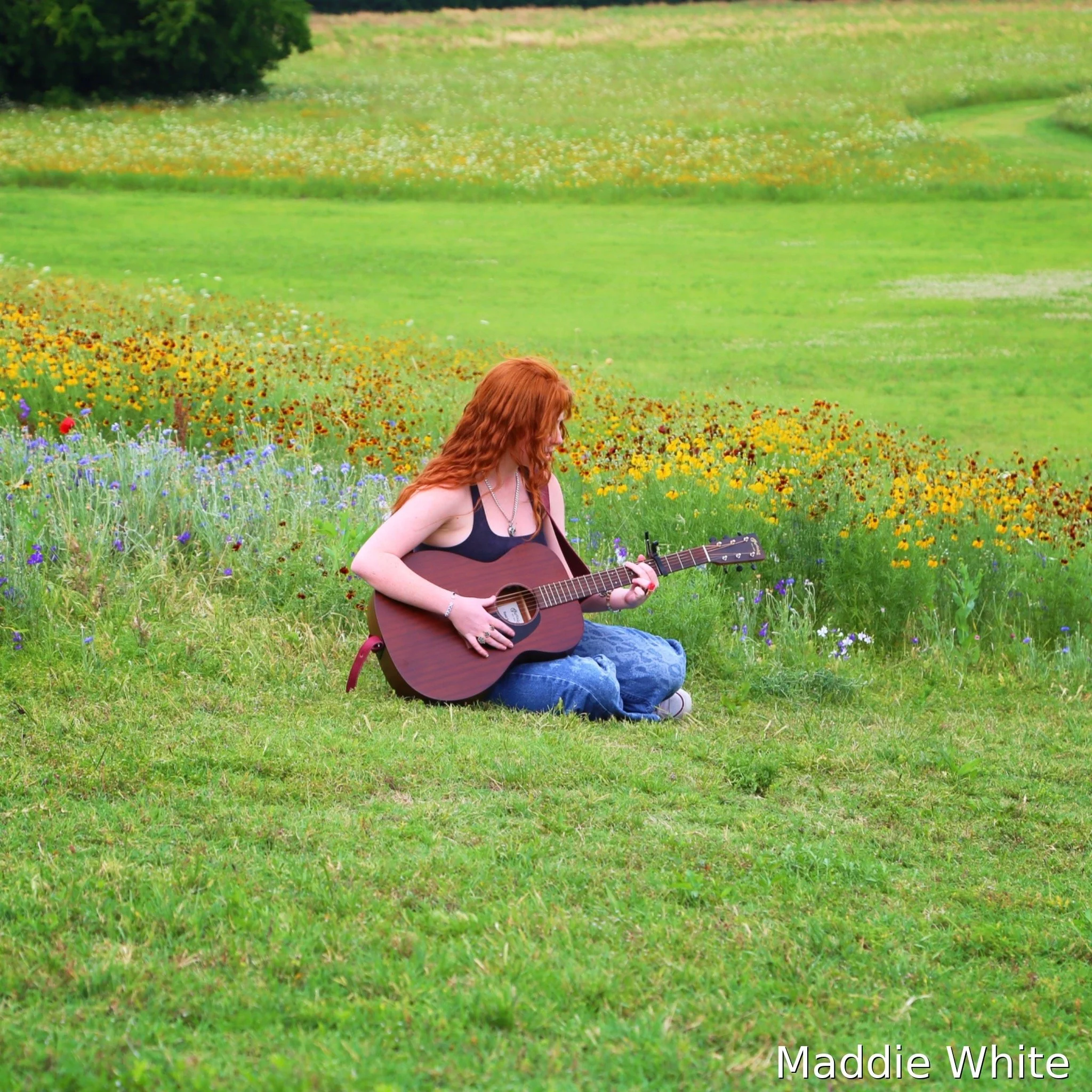 Live Music - The Maddie WHITE BAND/DUO