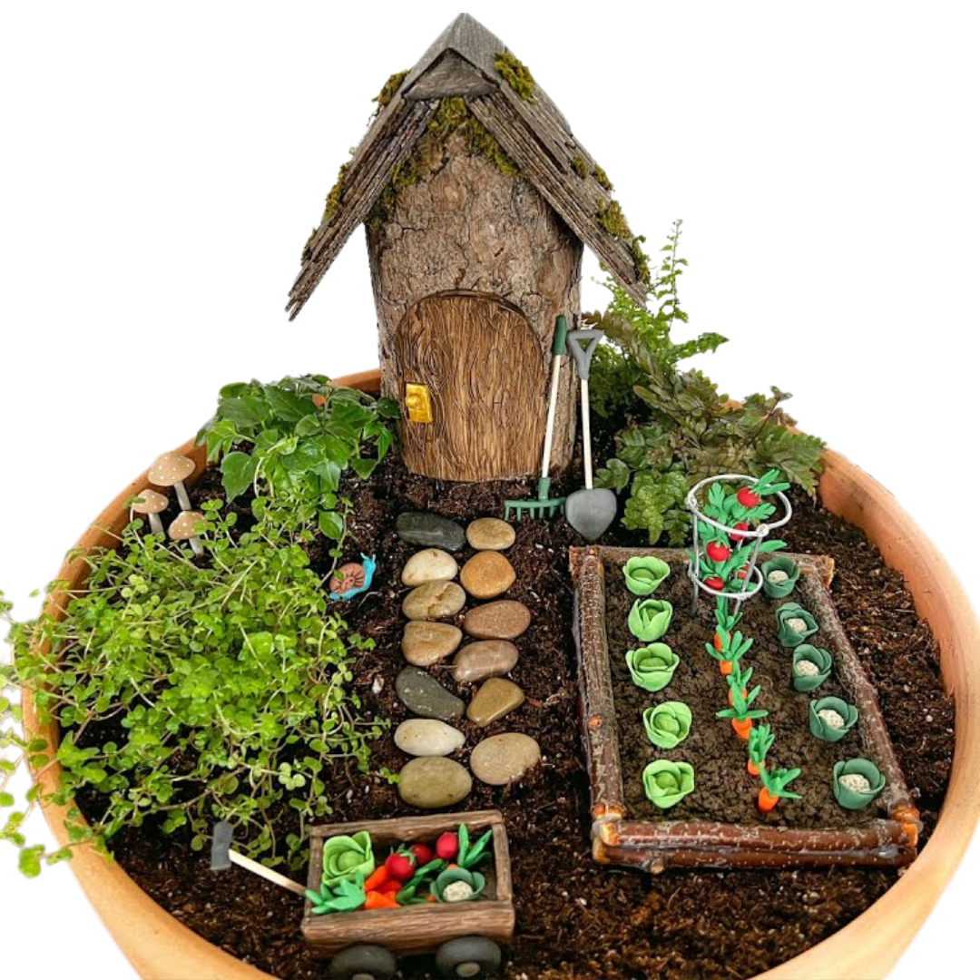 Fairy Garden.png