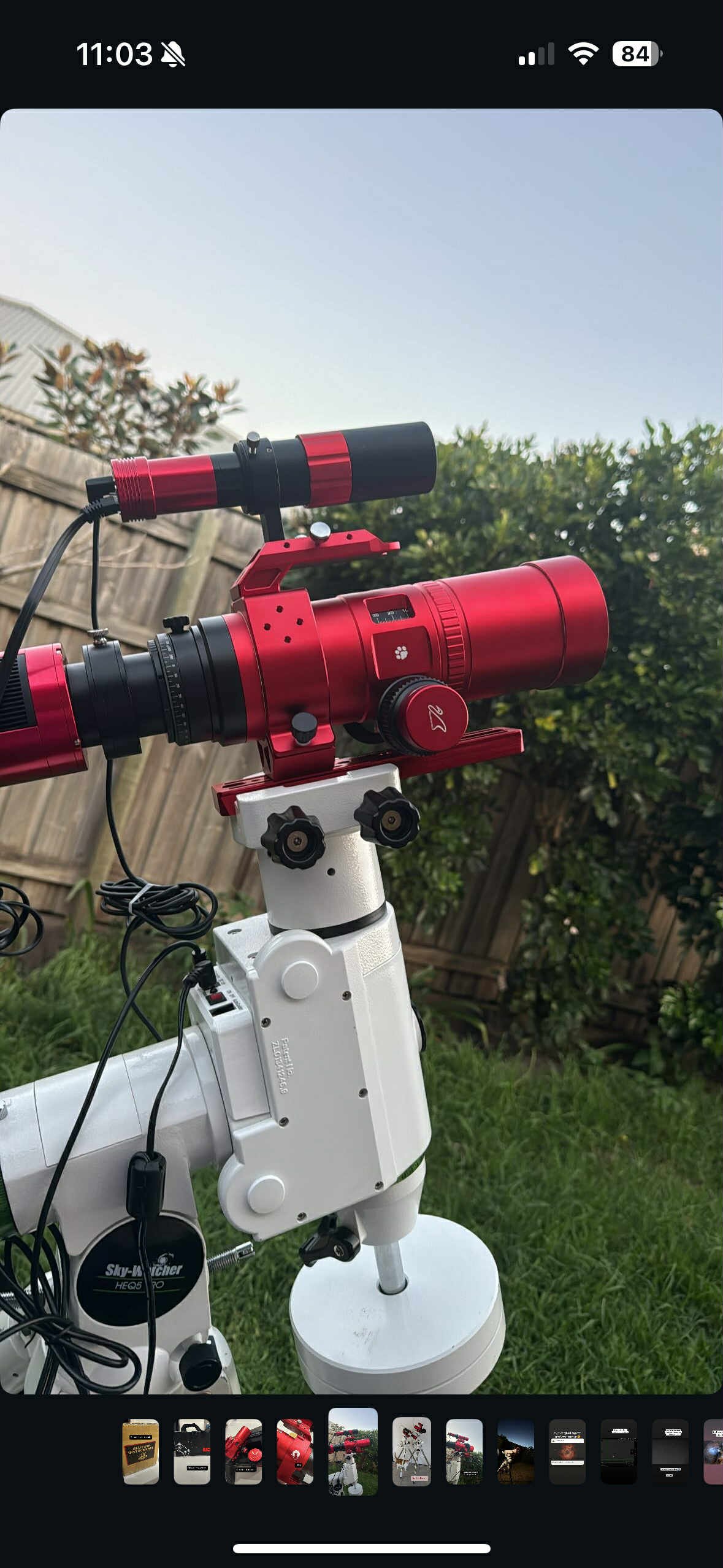 A red telescope mounted on a white Equatorial mount in a backyard with a wooden fence and green bushes.