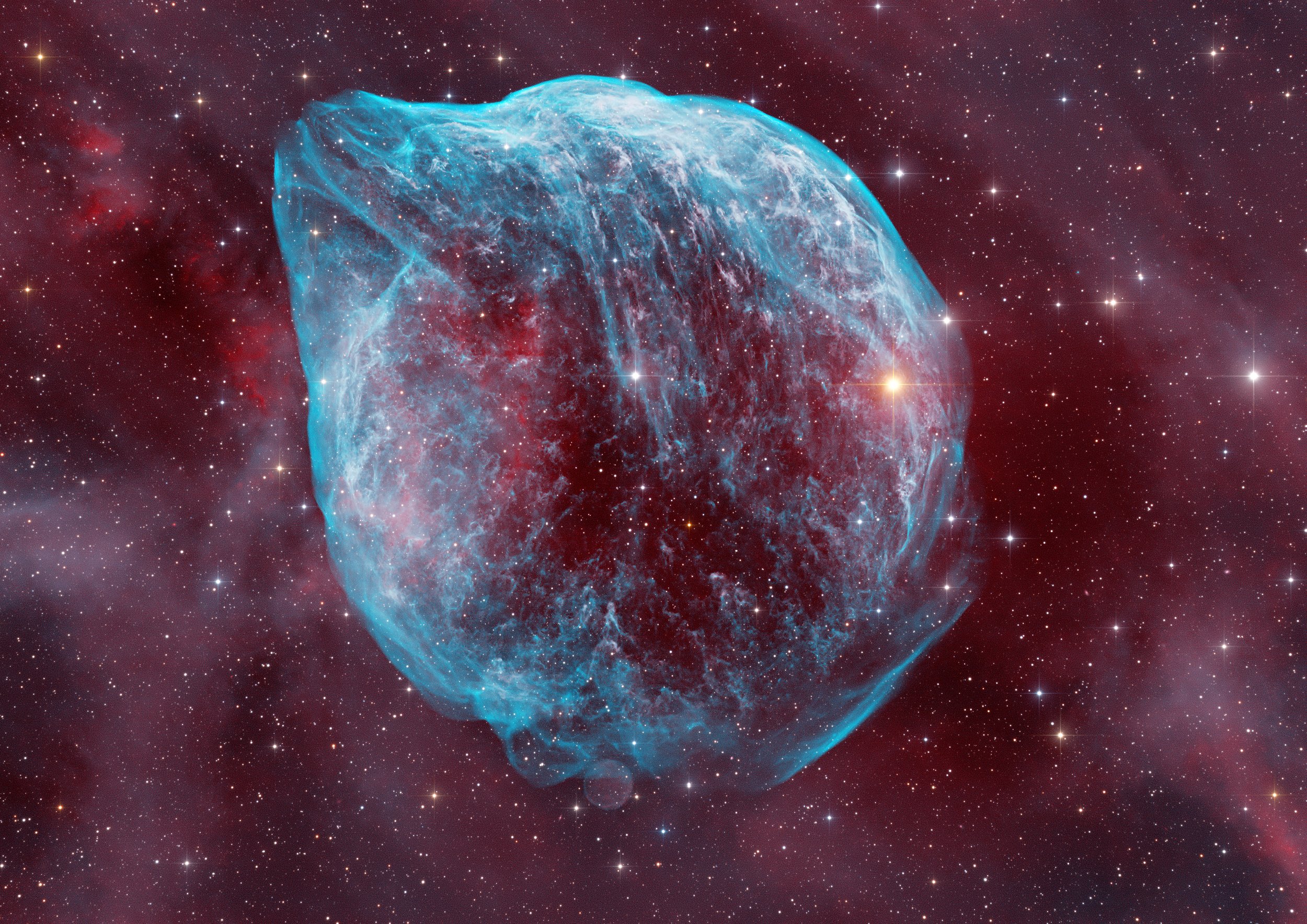 The Celestial Dolphin