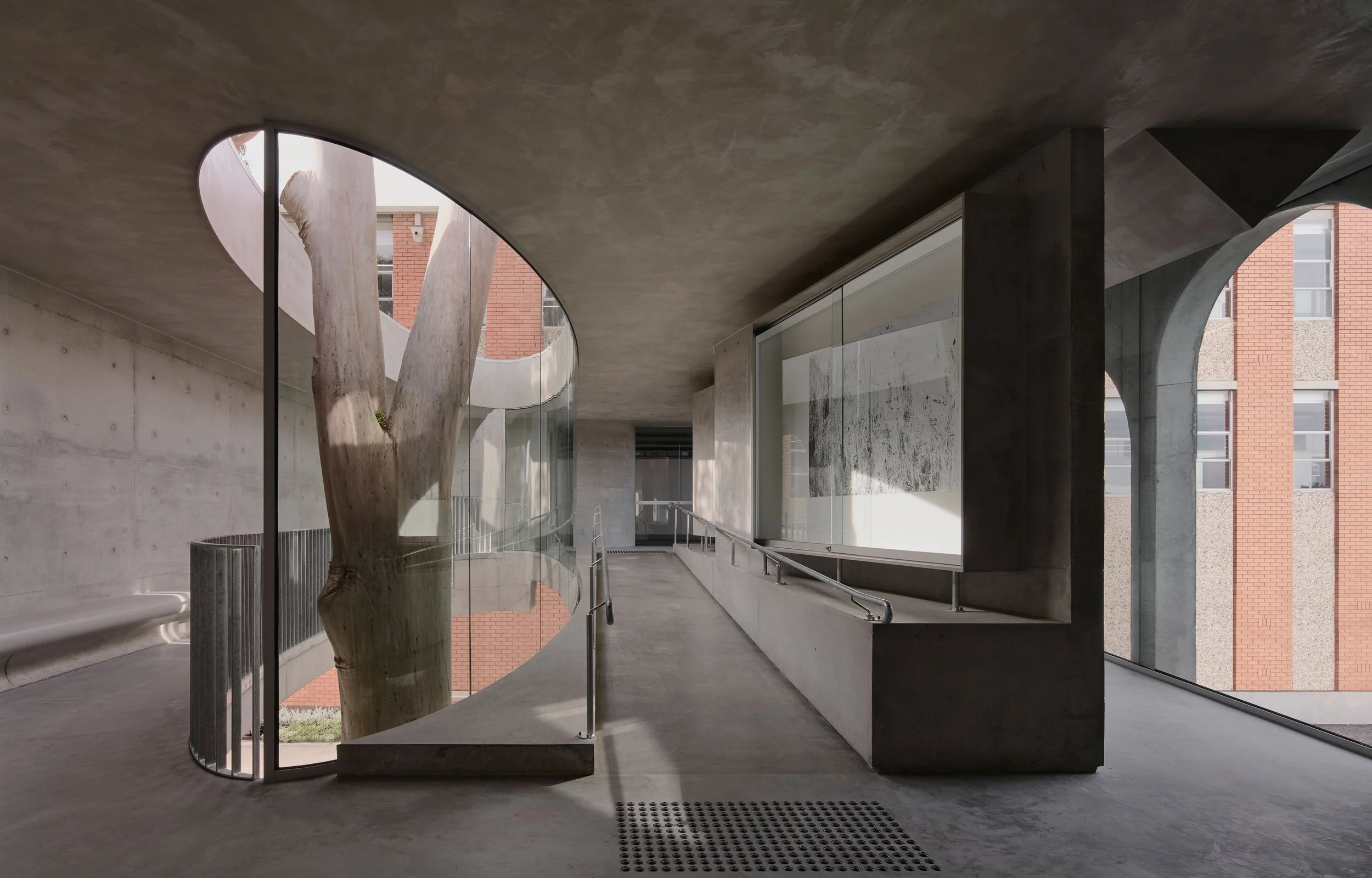 Marcellin College – Gallery for a Tree.