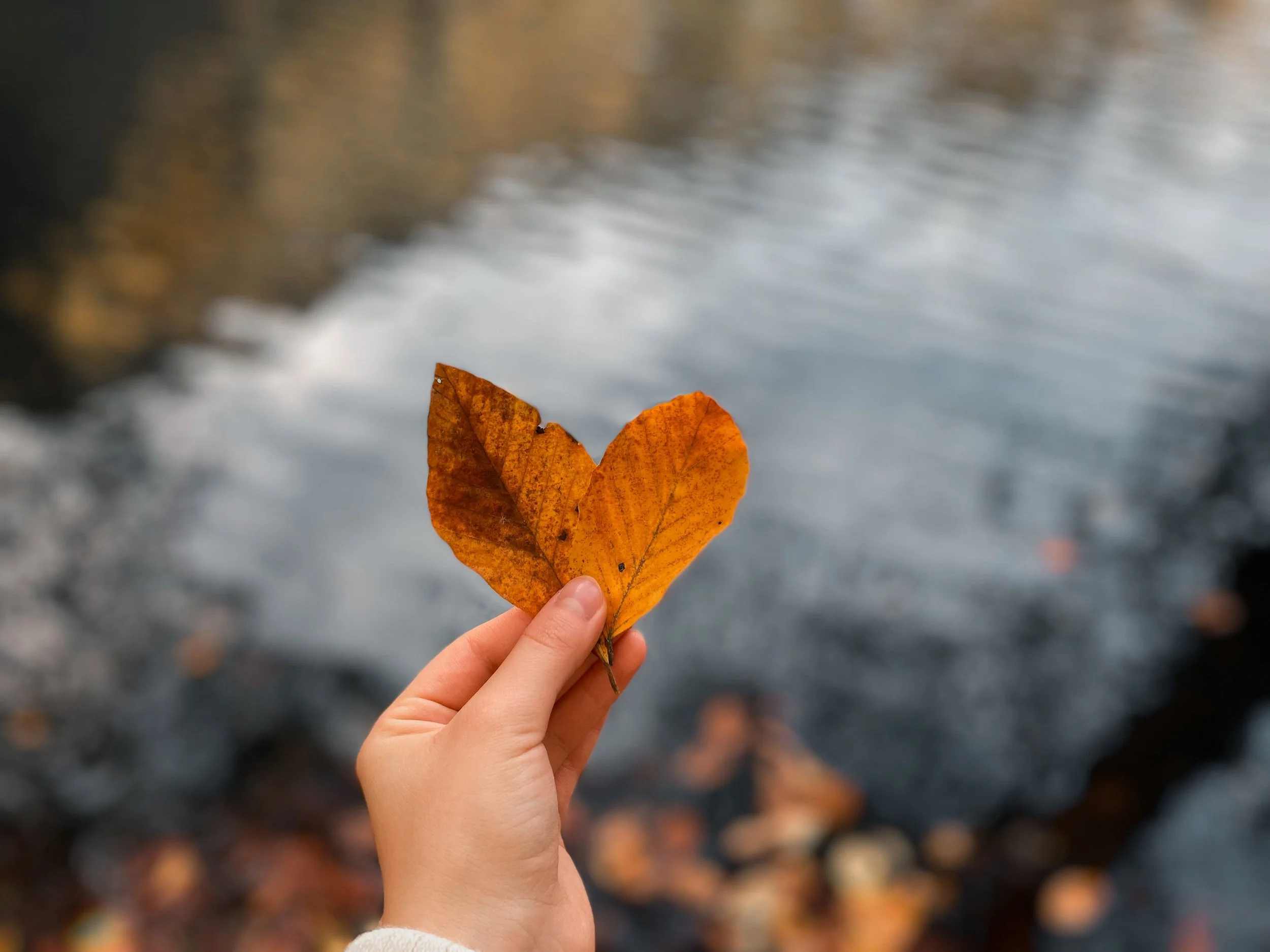 Spiritual Seasons