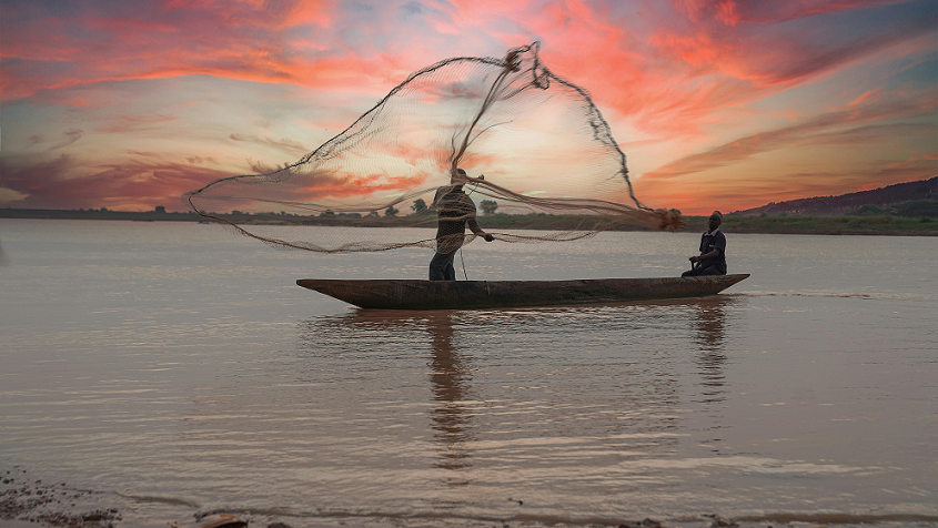 Because You Say So: Trusting God Beyond the Empty Nets