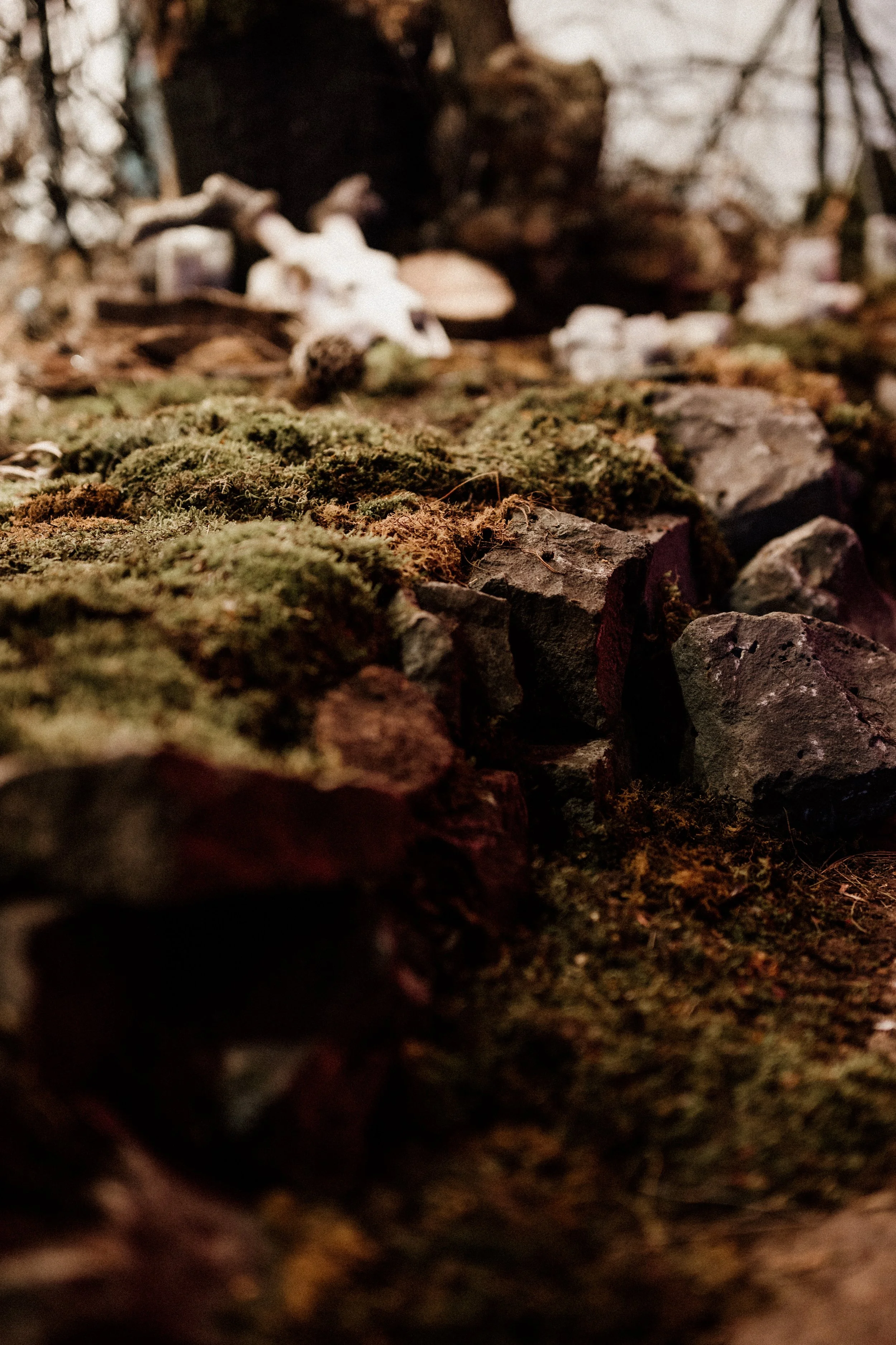 tahneejadephotography_wickedwinter-89.jpg