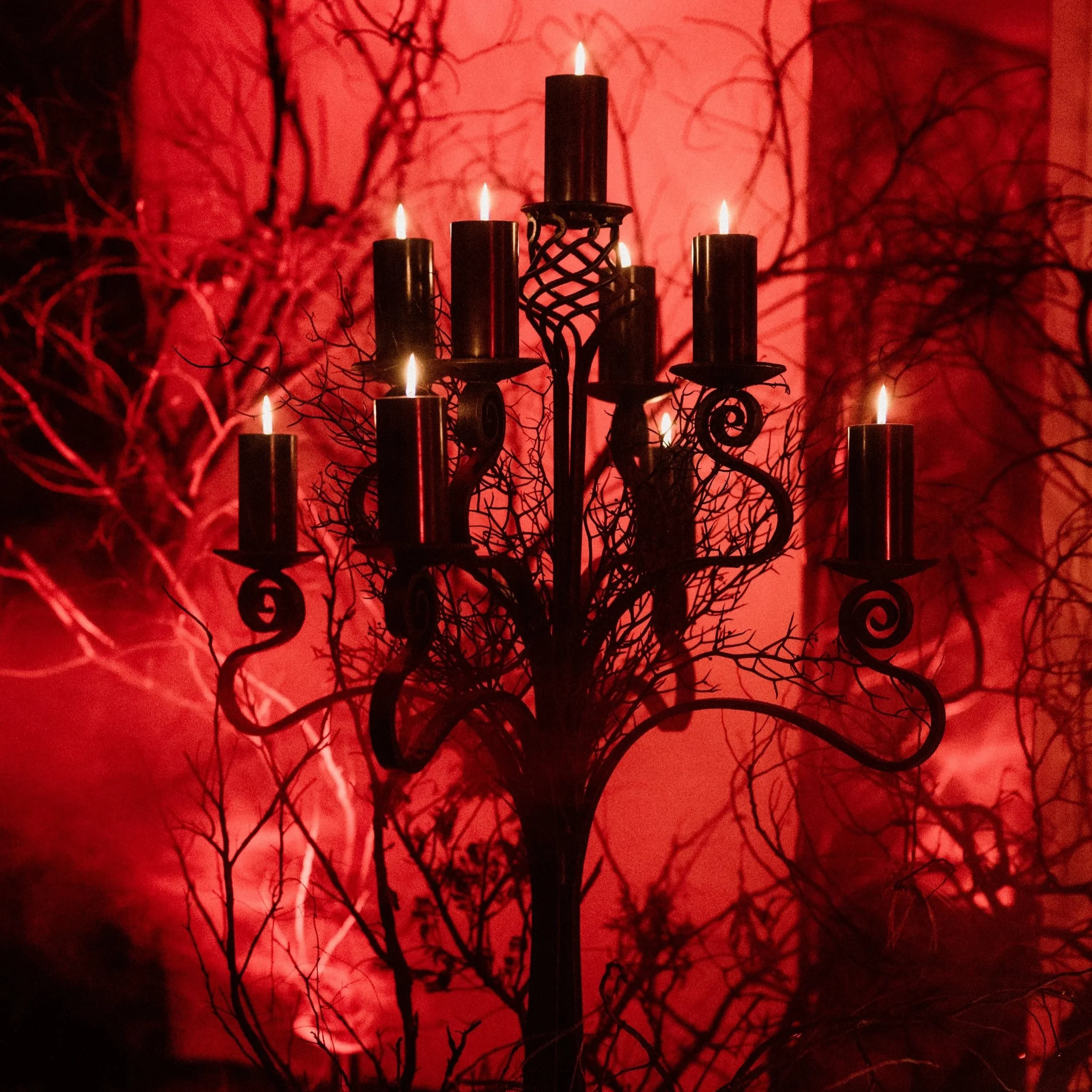 tahneejadephotography_wickedwinter-83.jpg