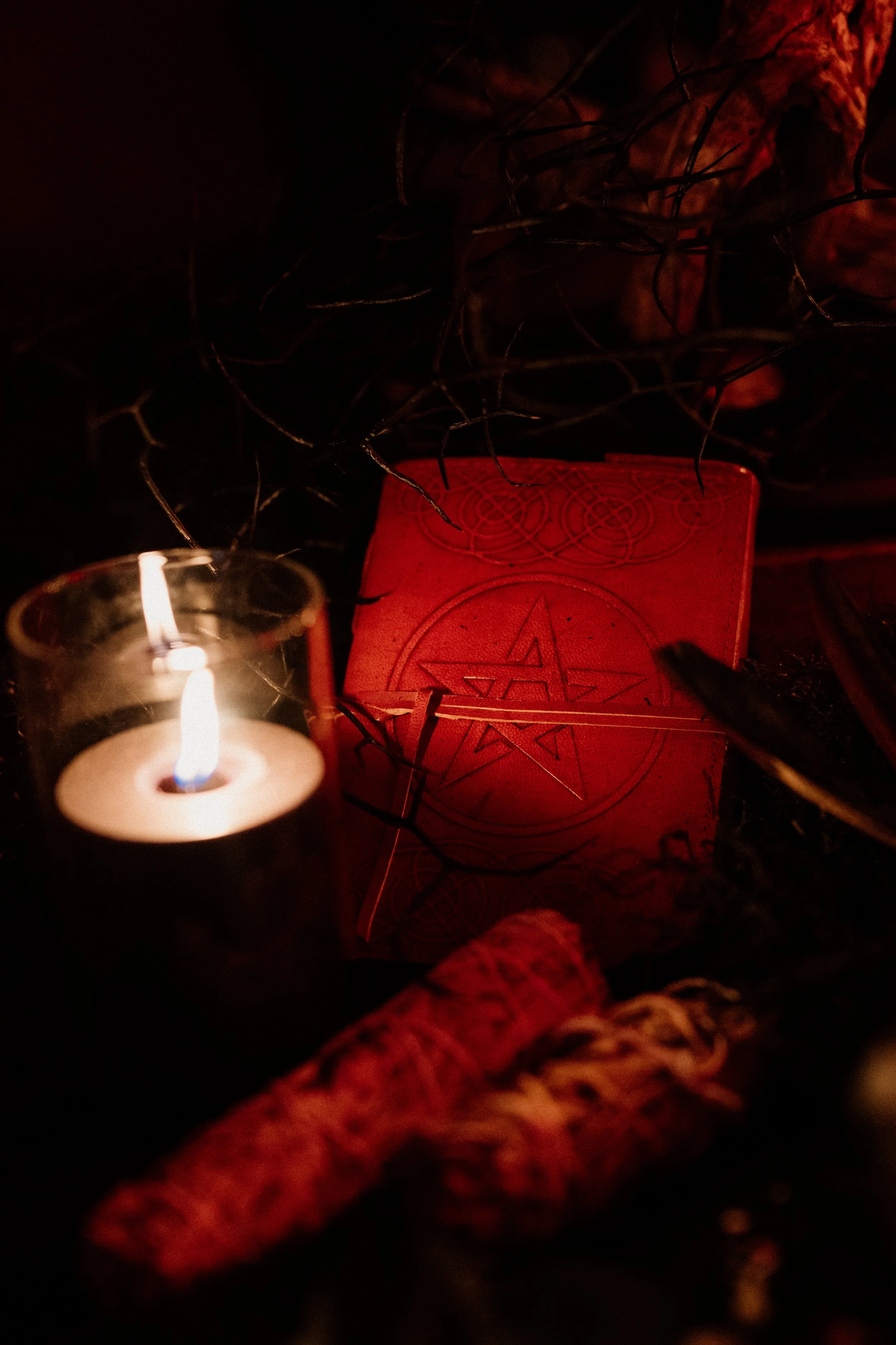 tahneejadephotography_wickedwinter-11.jpg