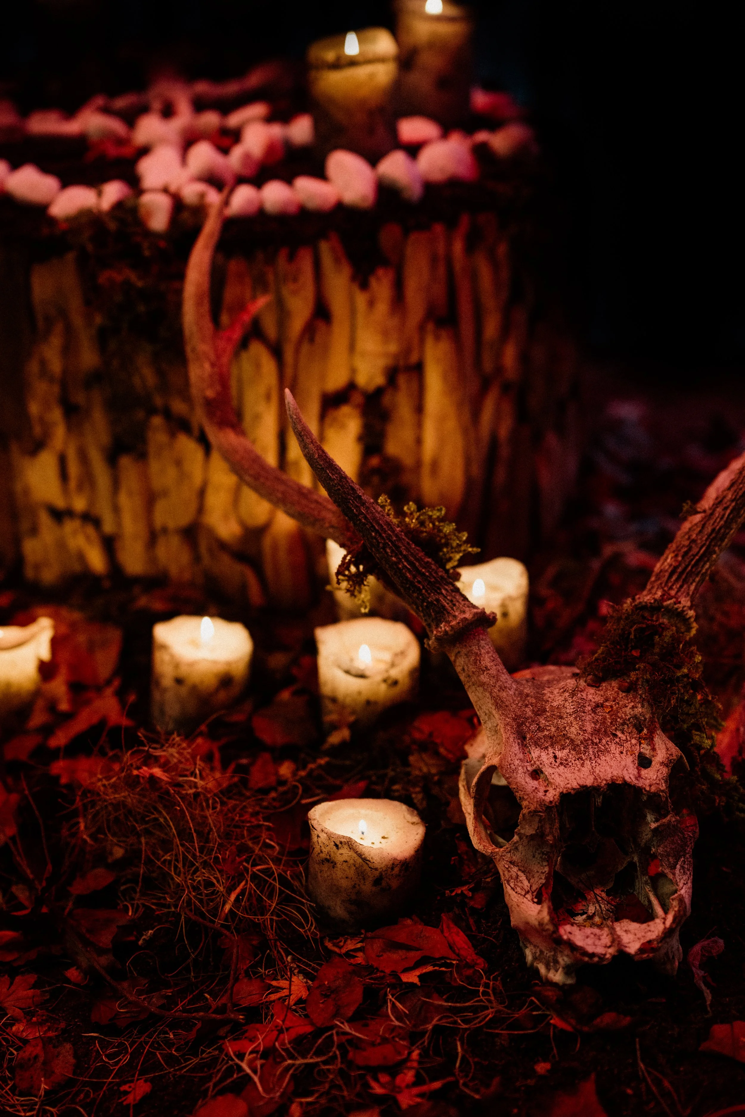 tahneejadephotography_wickedwinter-30.jpg