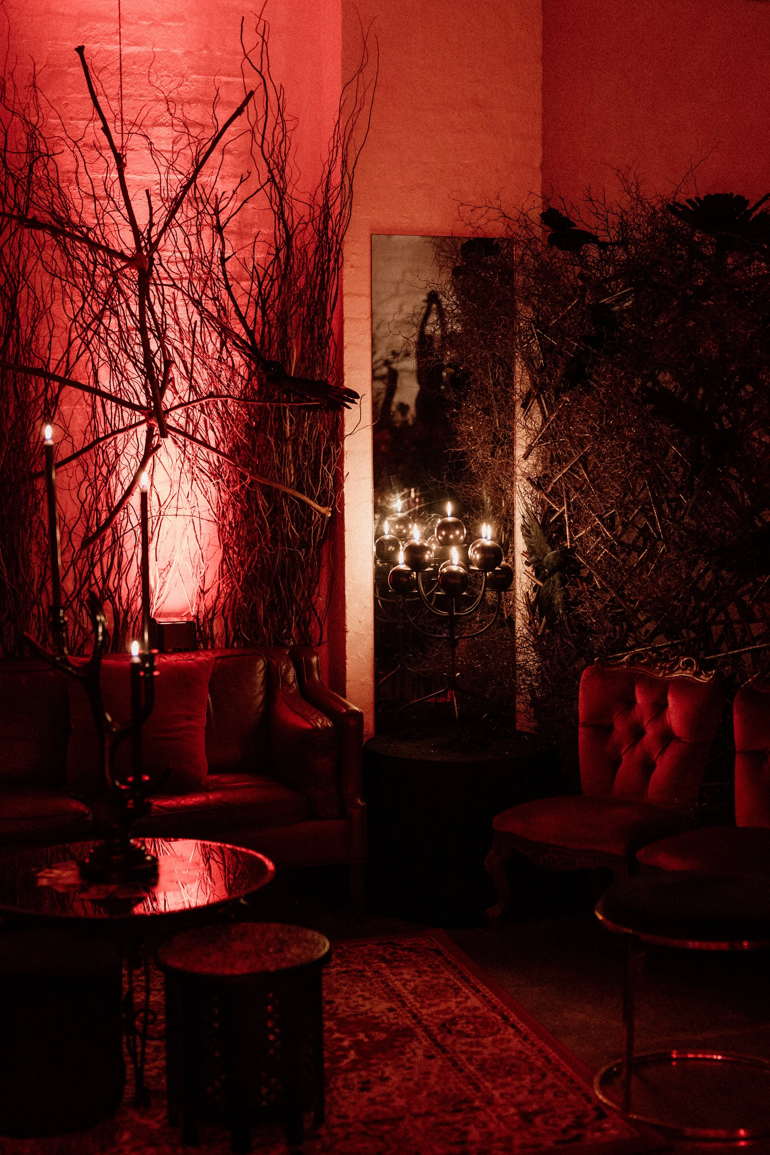 tahneejadephotography_wickedwinter-45.jpg