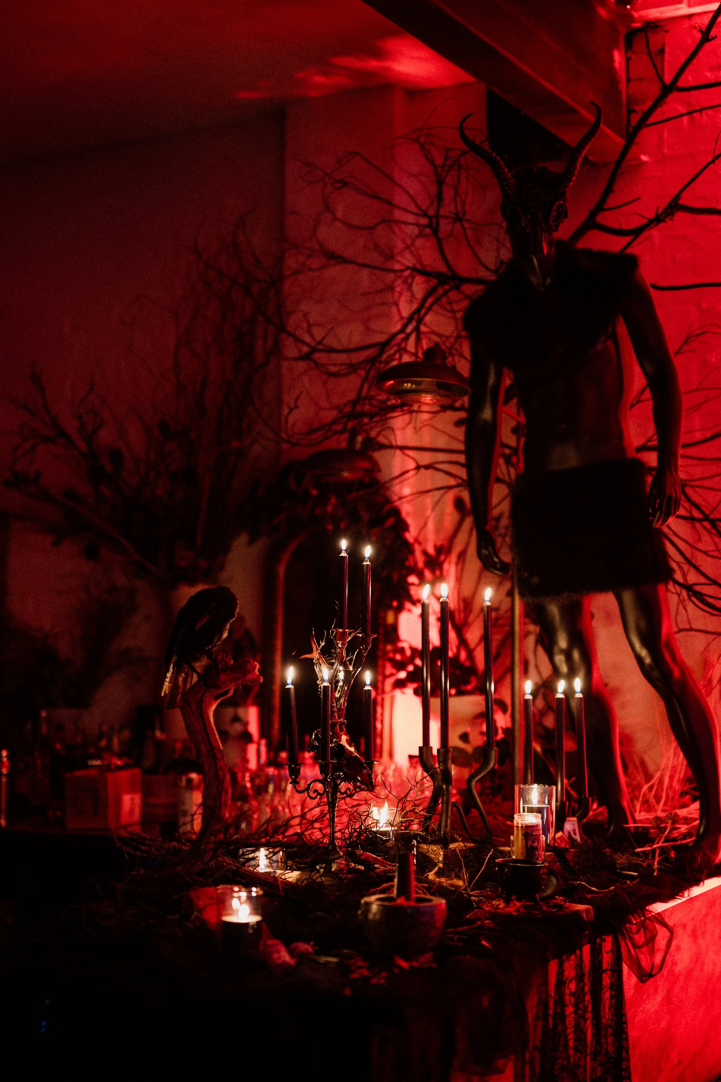 tahneejadephotography_wickedwinter-1.jpg